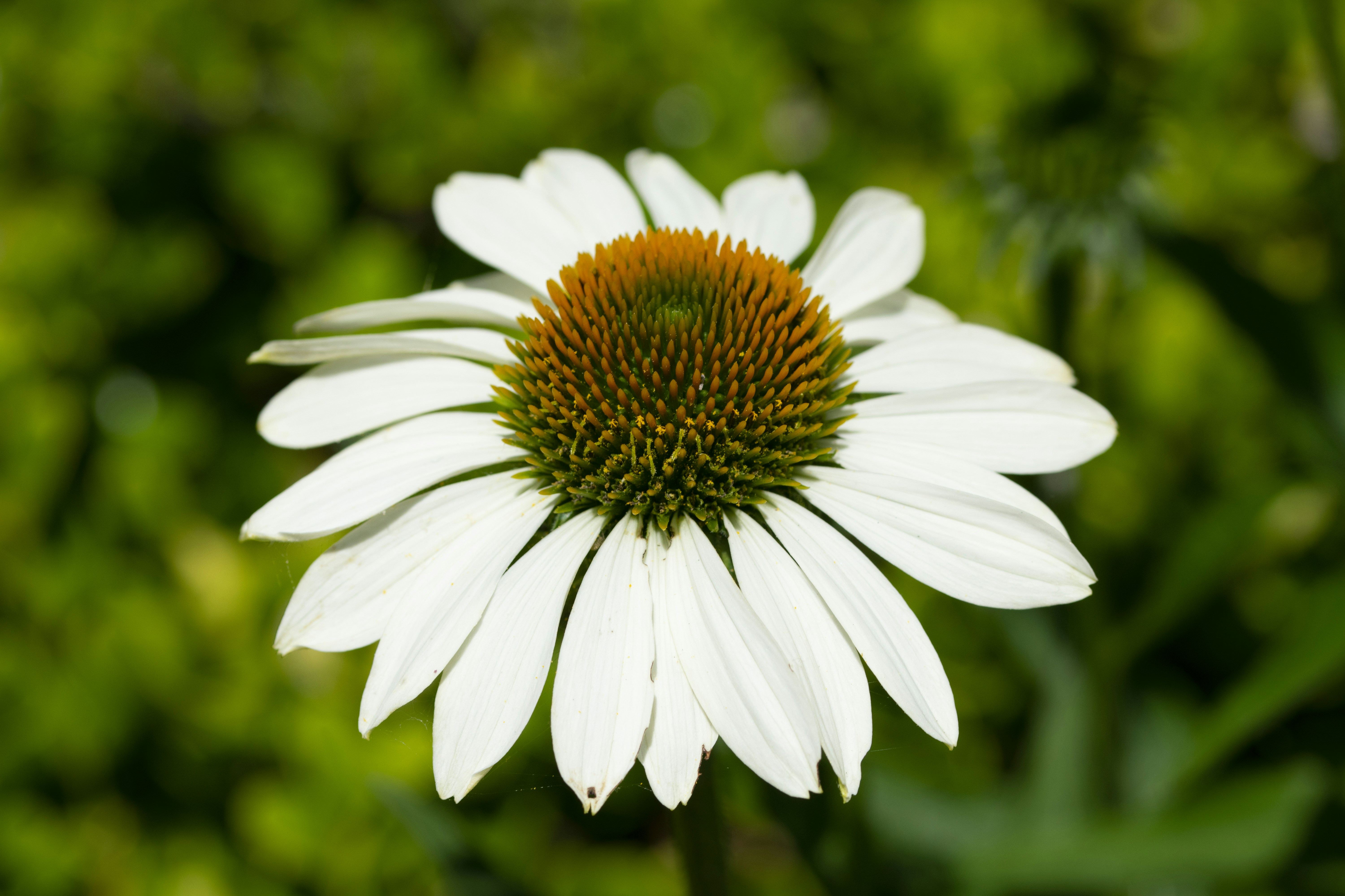 Photo by ellephant_photography