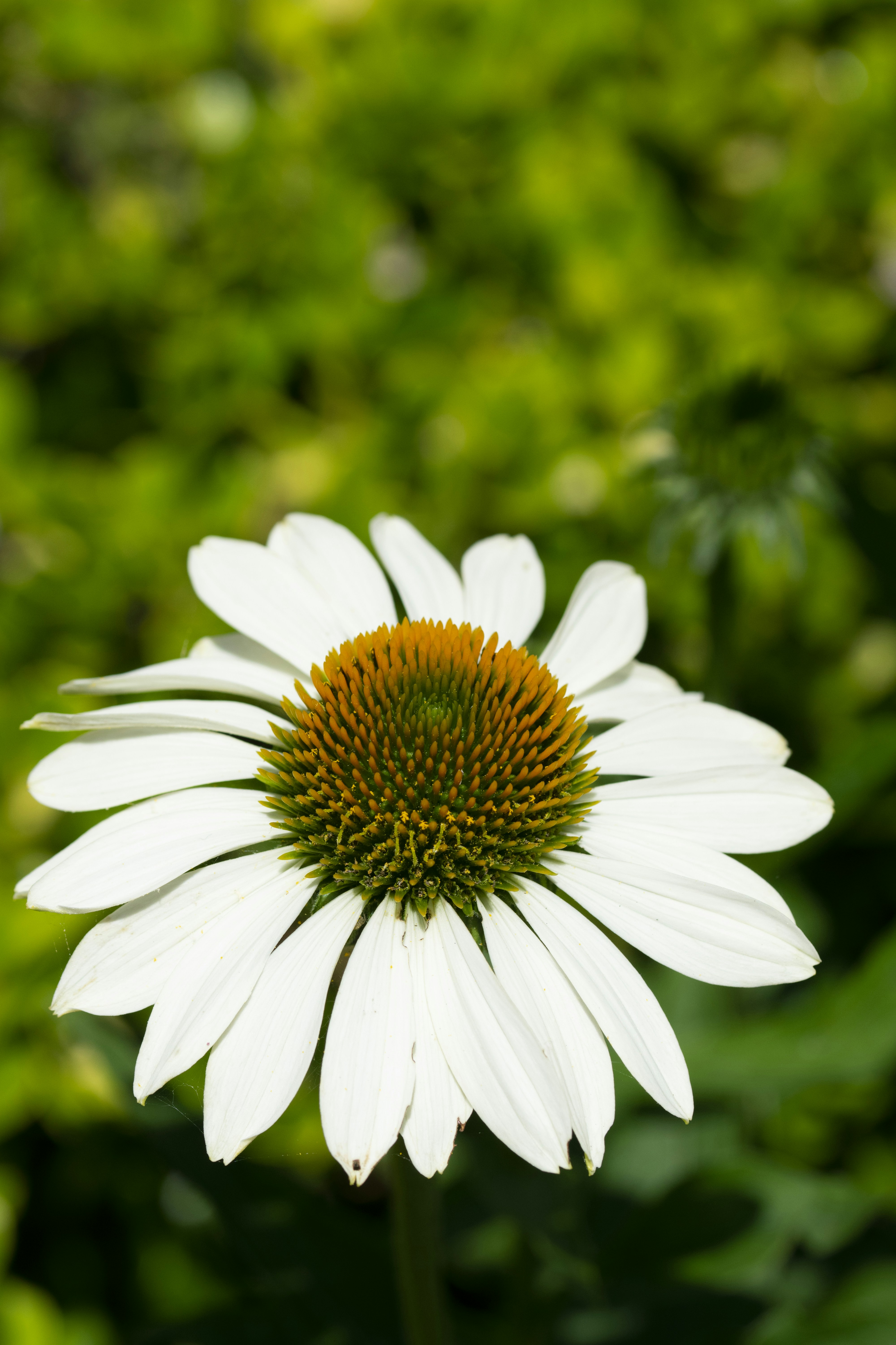 Photo by ellephant_photography