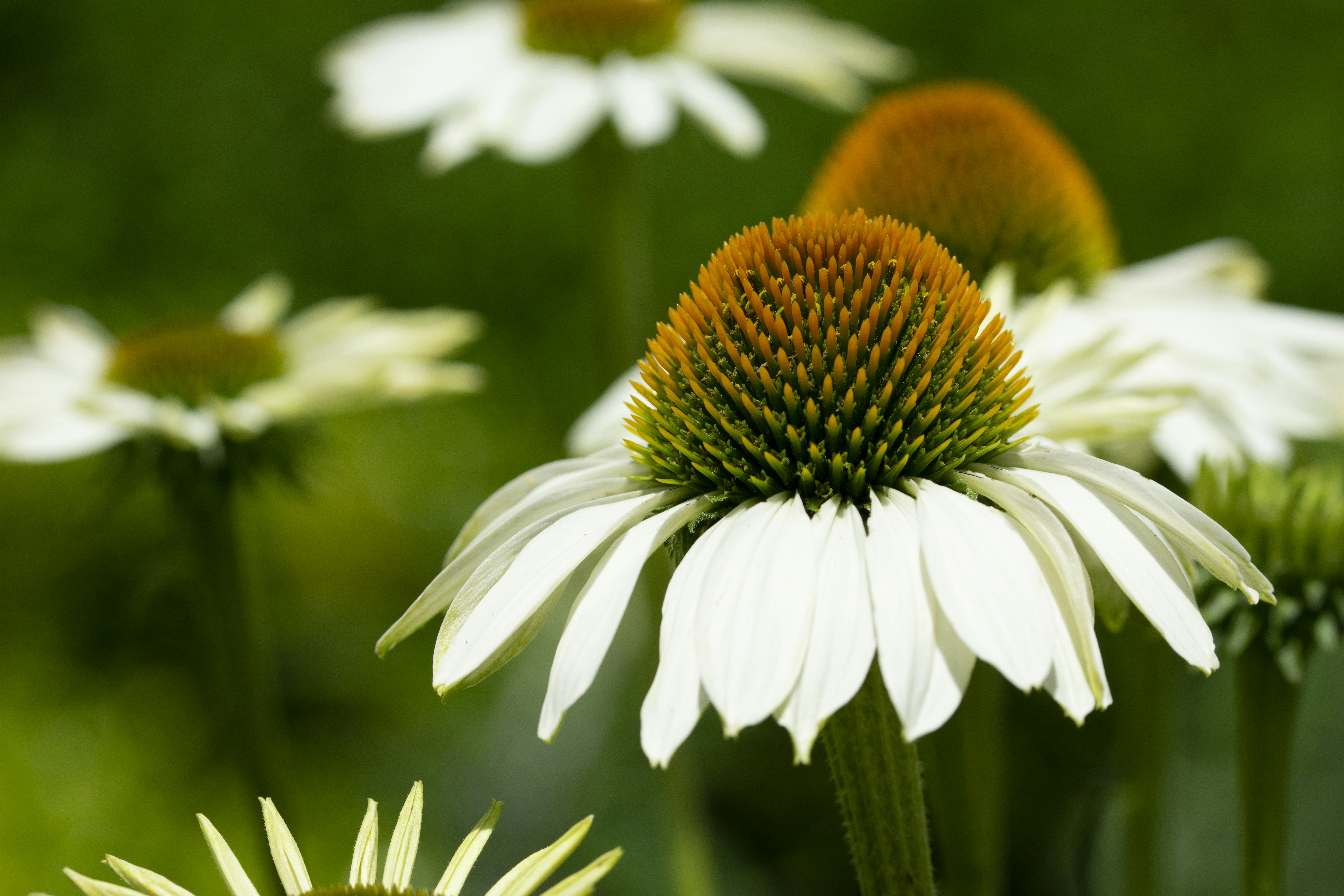 Photo by ellephant_photography