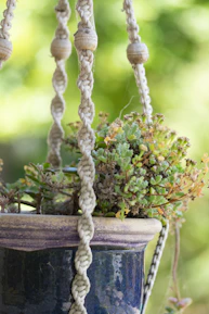 Close-up of handmade macrame plant hanger with lush green plants.
