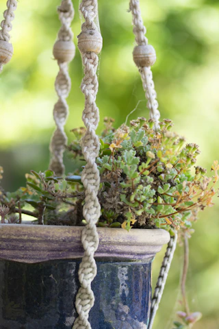 Close-up of handmade macrame plant hanger with lush green plants.