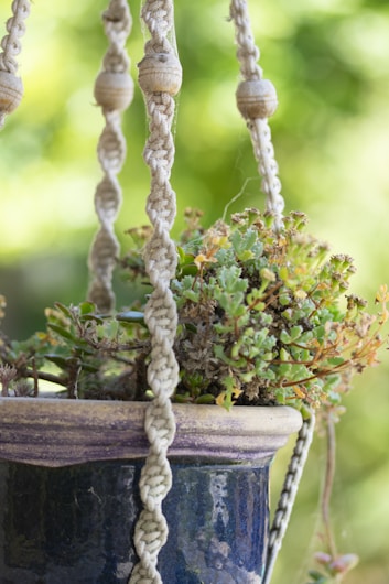 A close-up view of a hanging planter made of a dark ceramic material with a macrame hanger. The planter contains succulents that have both green and brownish foliage. The background is made up of soft, out-of-focus greenery, suggesting an outdoor setting.