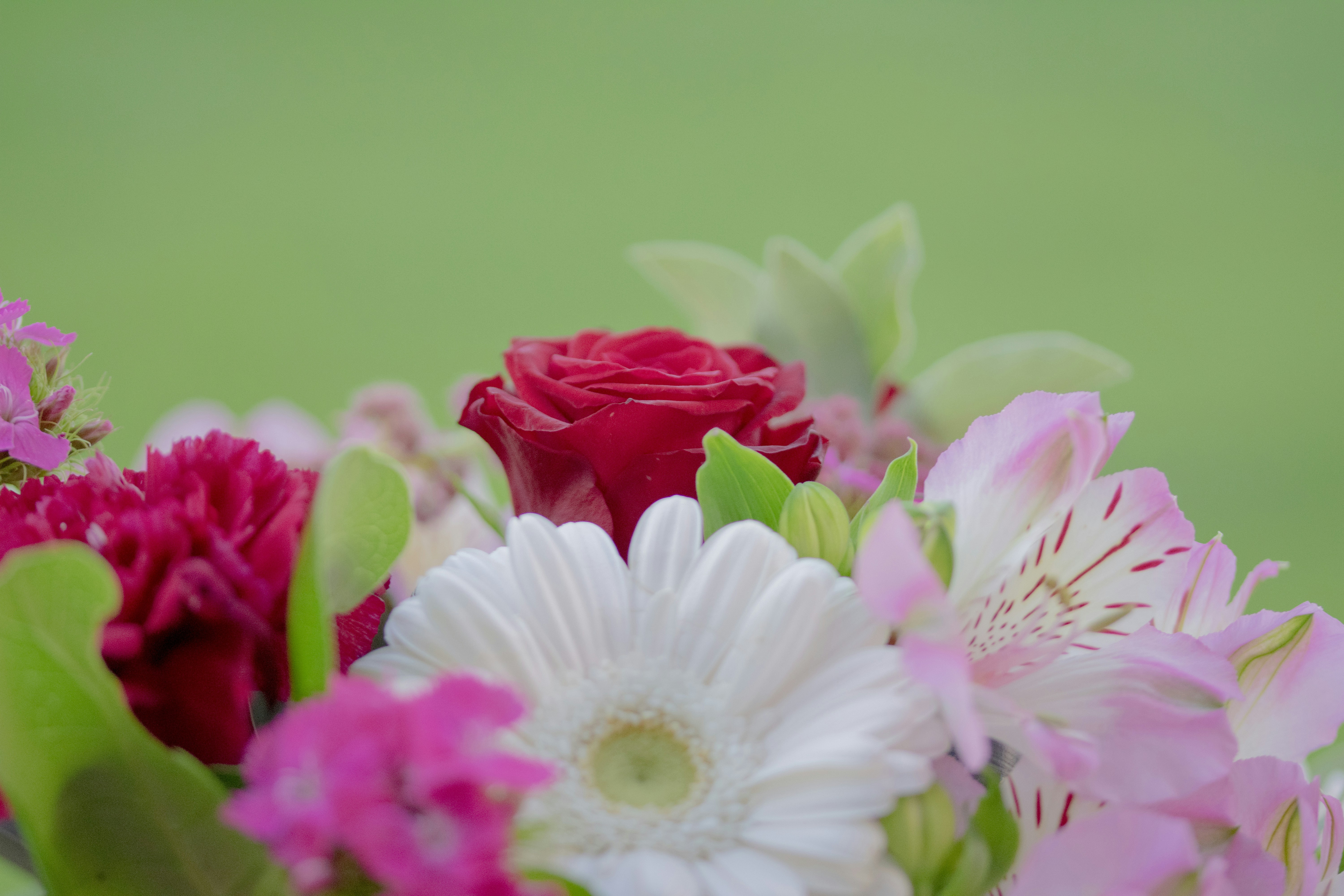 Photo by ellephant_photography