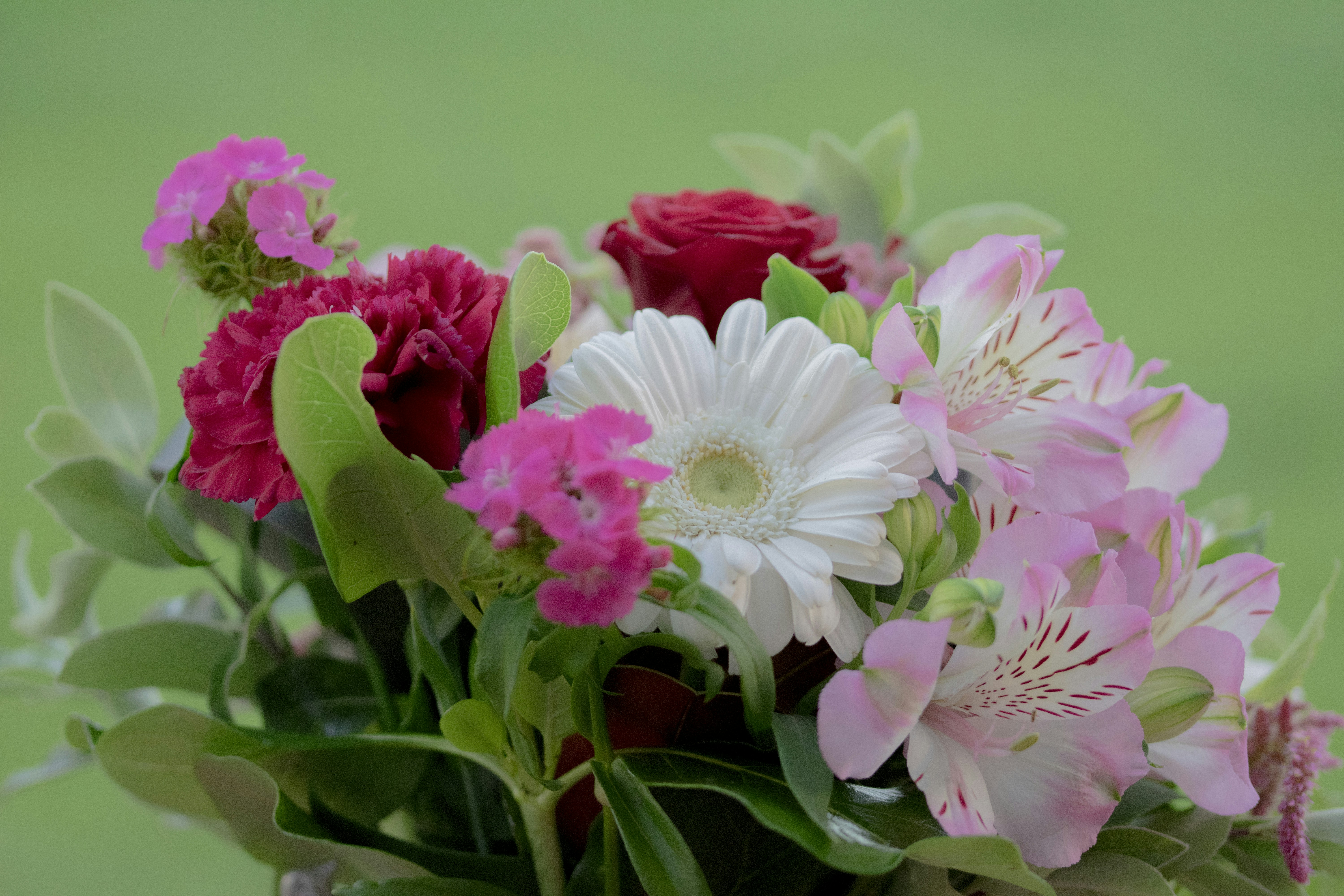 Photo by ellephant_photography