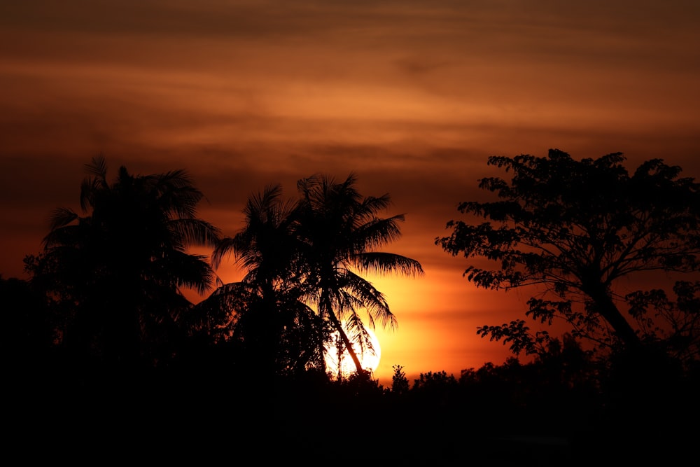 the sun is setting behind some trees