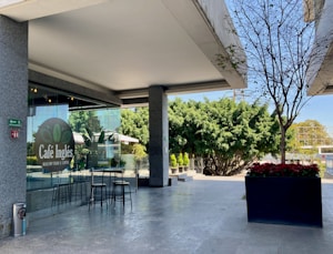 An outdoor patio area of a café featuring a glass window with the Café Inglés logo. There are tall glass doors beside a small table with two metal stools. A tree with red flowers in a large pot is seen to the right, providing a contrast to the gray stone surface. Lush green bushes and other trees are visible in the background, adding a natural feel to the scene.