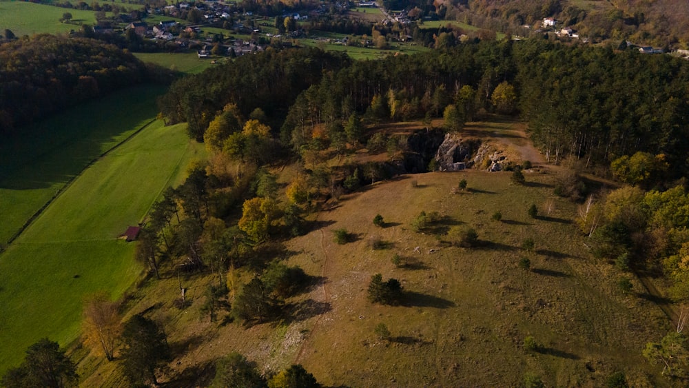 an aerial view of a wooded area with lots of trees