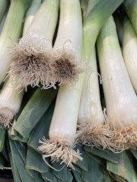 Close-up of healthy medicinal leeches in a natural water habitat.