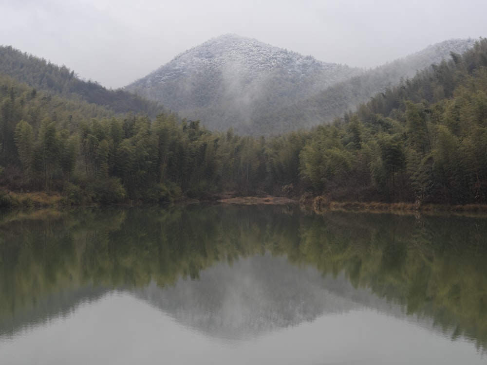 a body of water surrounded by trees and mountains