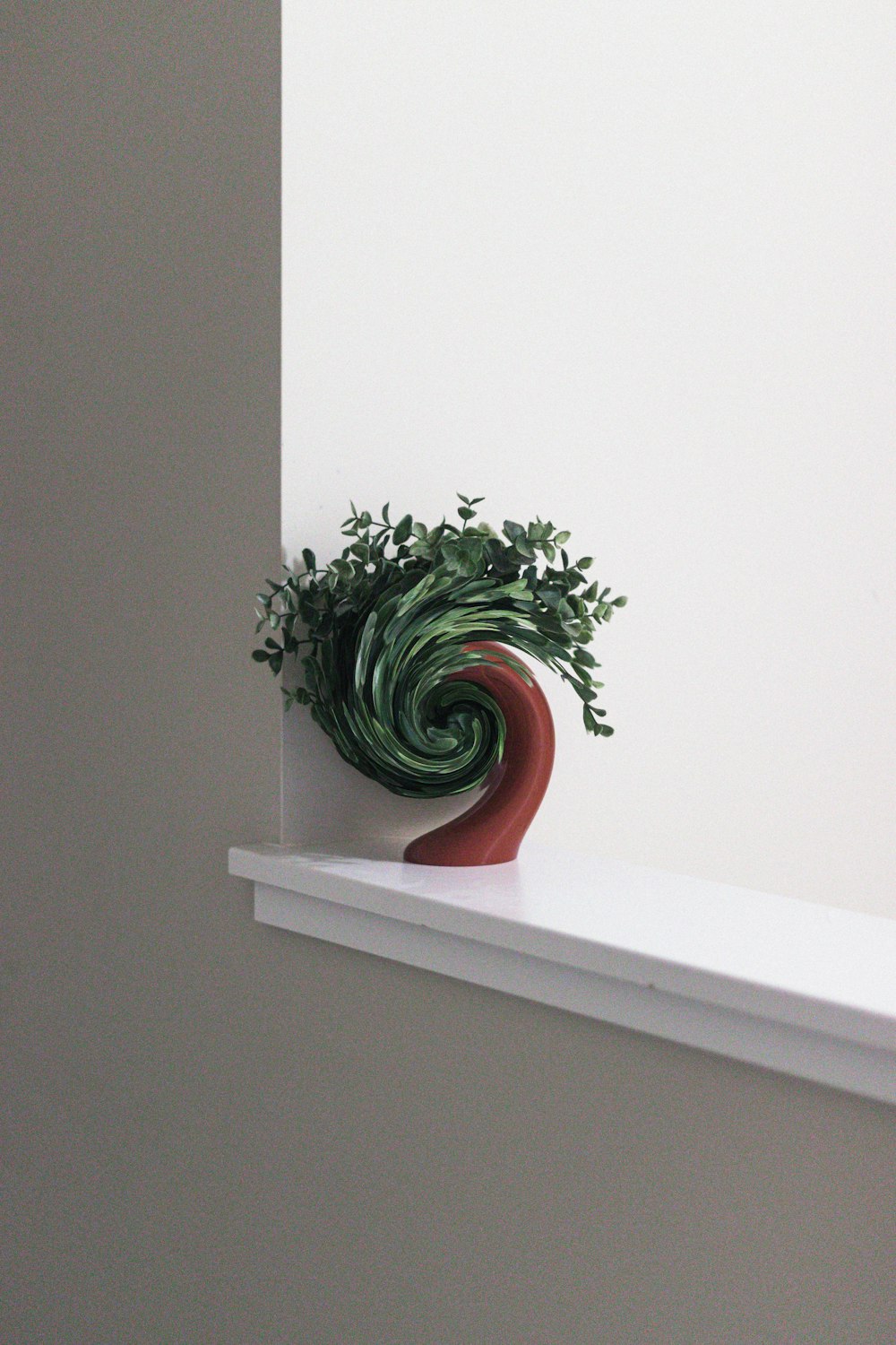 a plant in a vase on a shelf