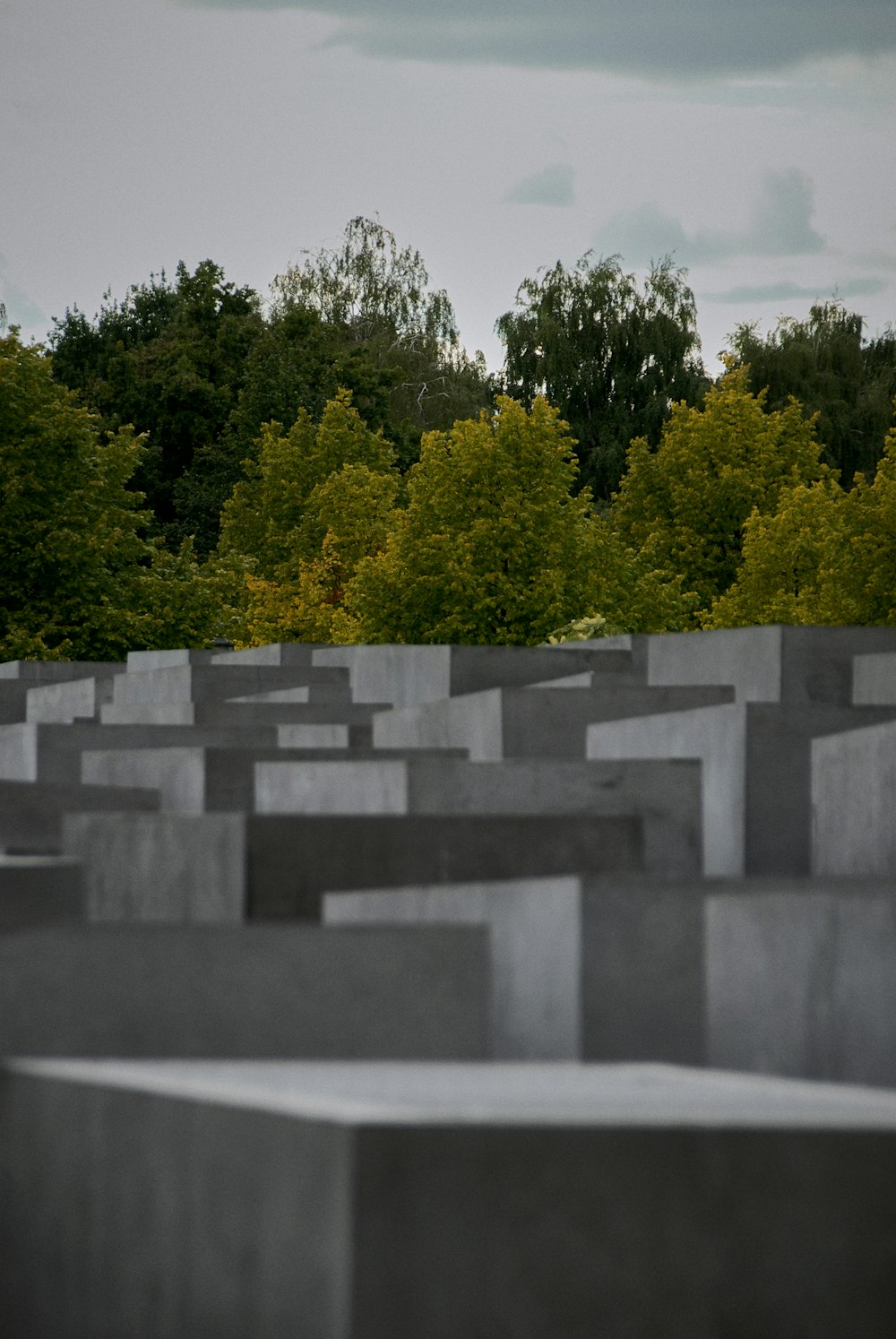 a large group of cement blocks with trees in the background