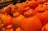 A close-up view of a pile of bright orange citrus fruits, likely oranges or a similar variety, with a distinct navel-like formation on the top. The fruits appear fresh and are stacked closely together, indicating they are on display, possibly in a market or grocery store.