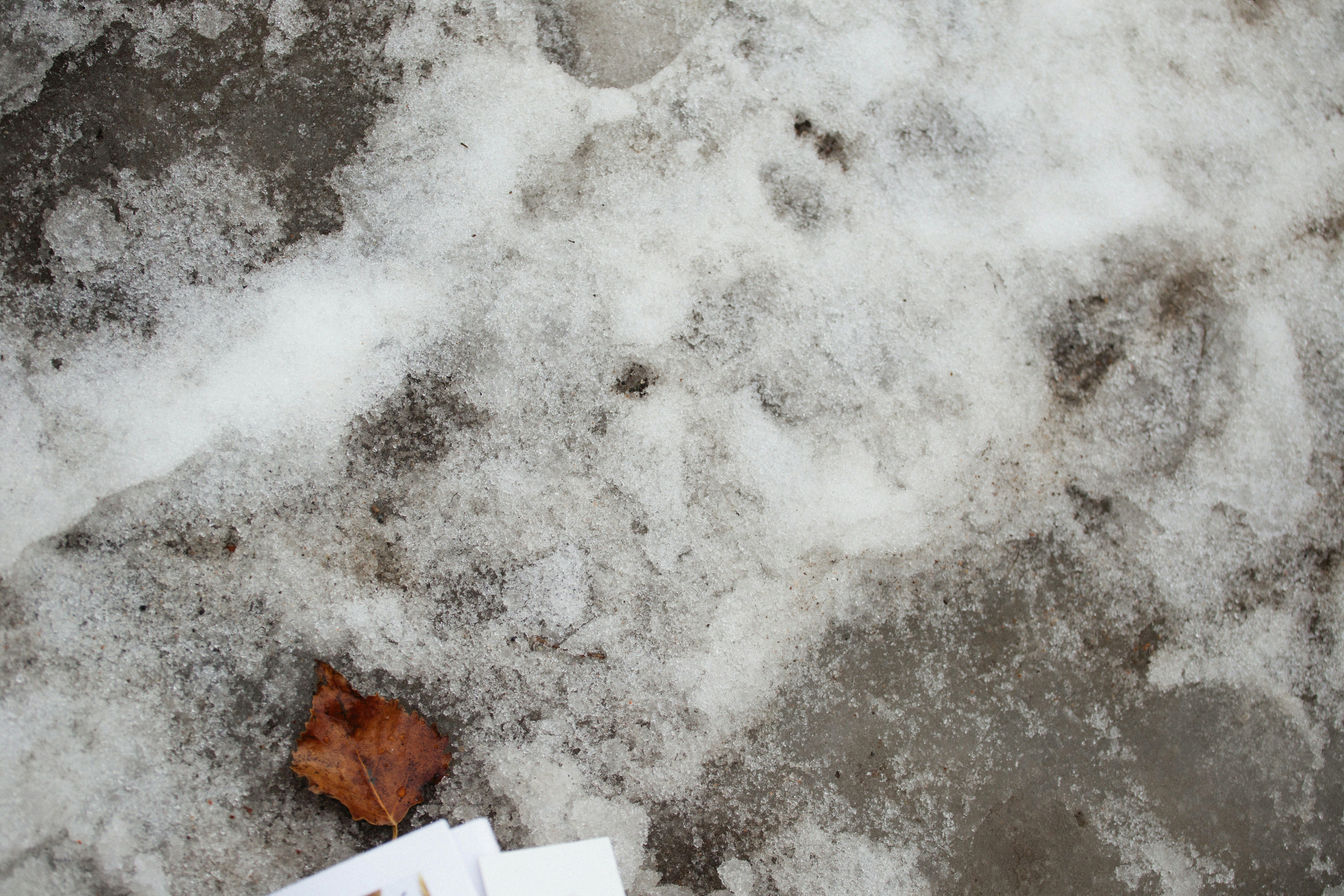 Photo by alexeydemidov