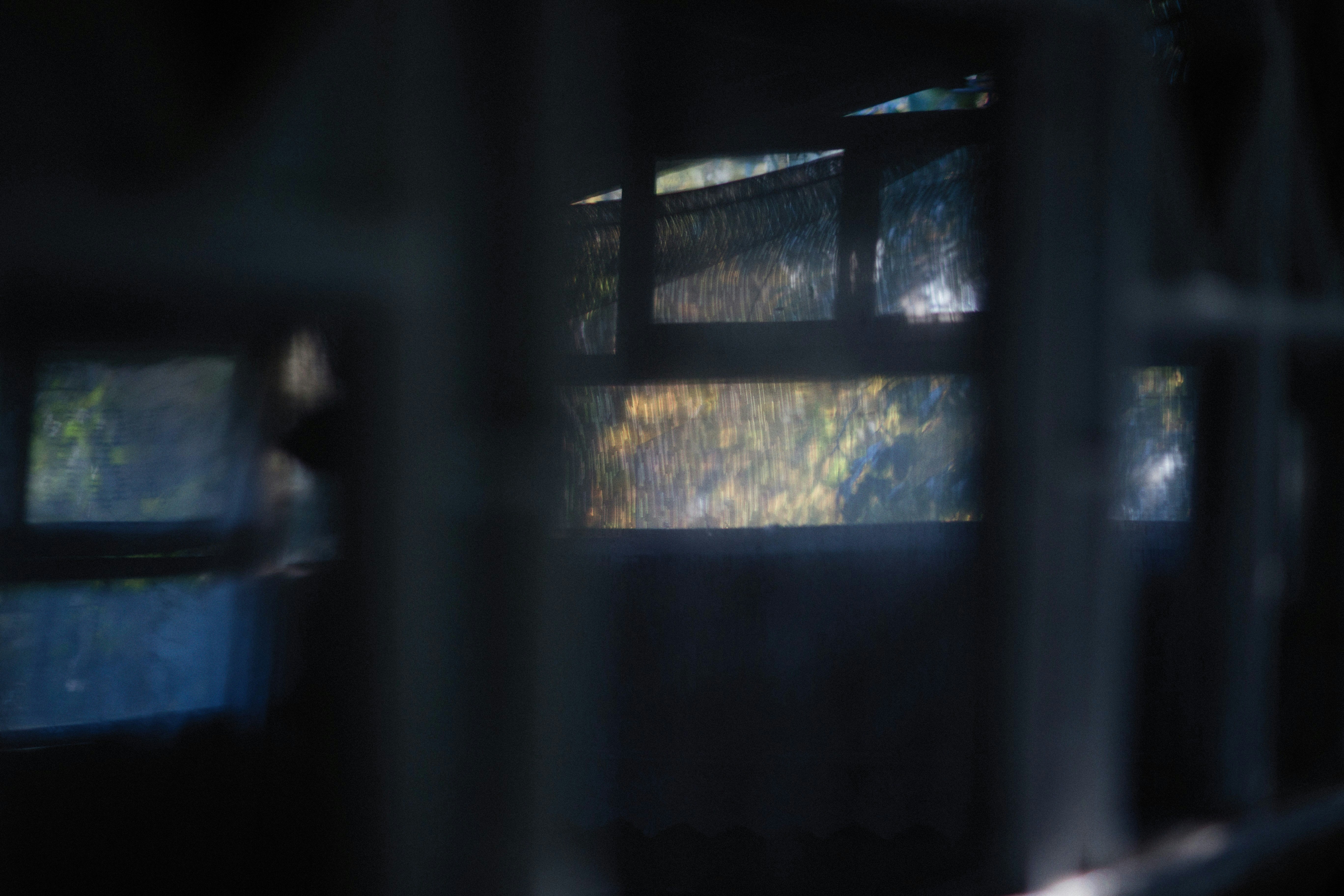 Photo by alexeydemidov