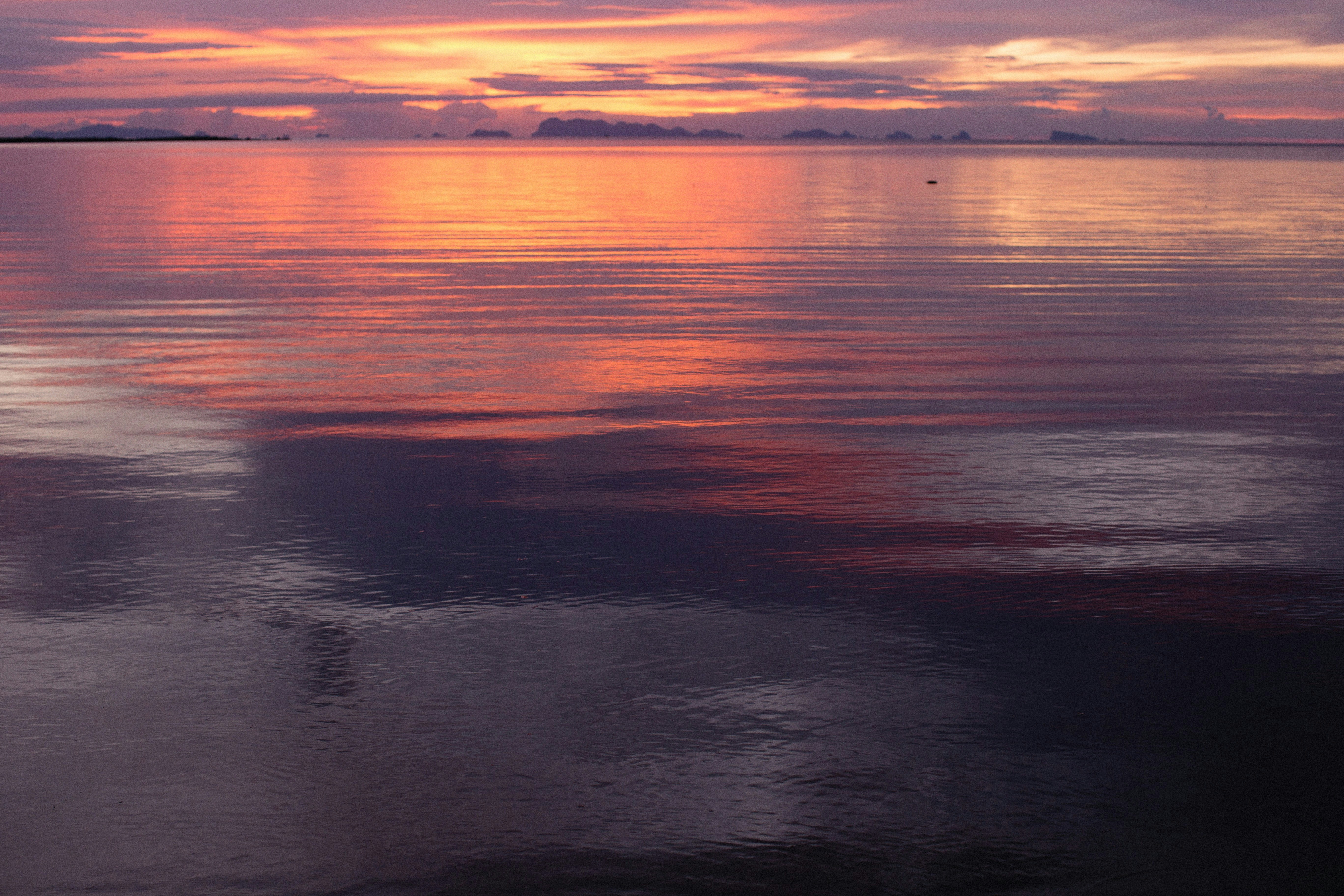 Photo by alexeydemidov