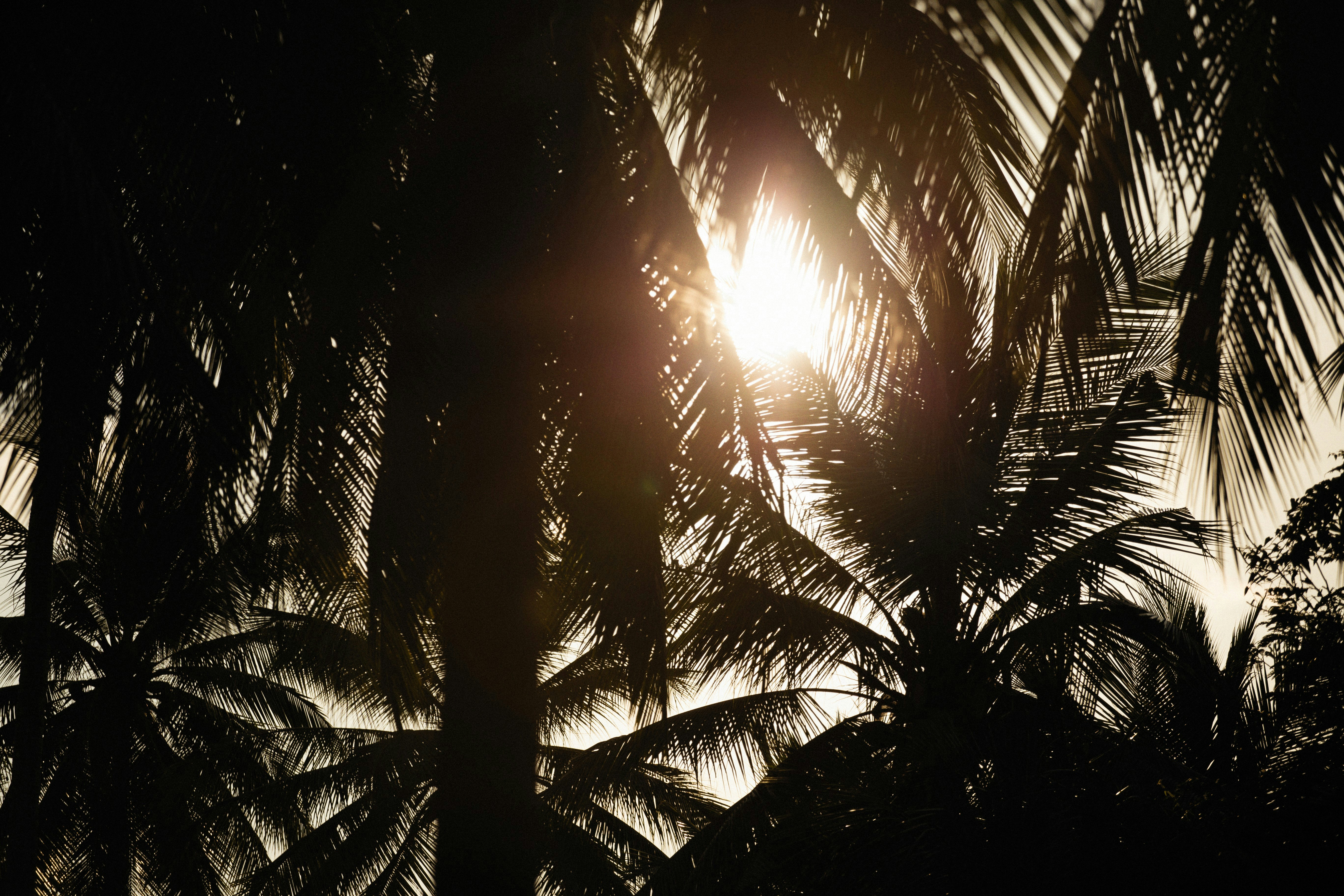 Photo by alexeydemidov