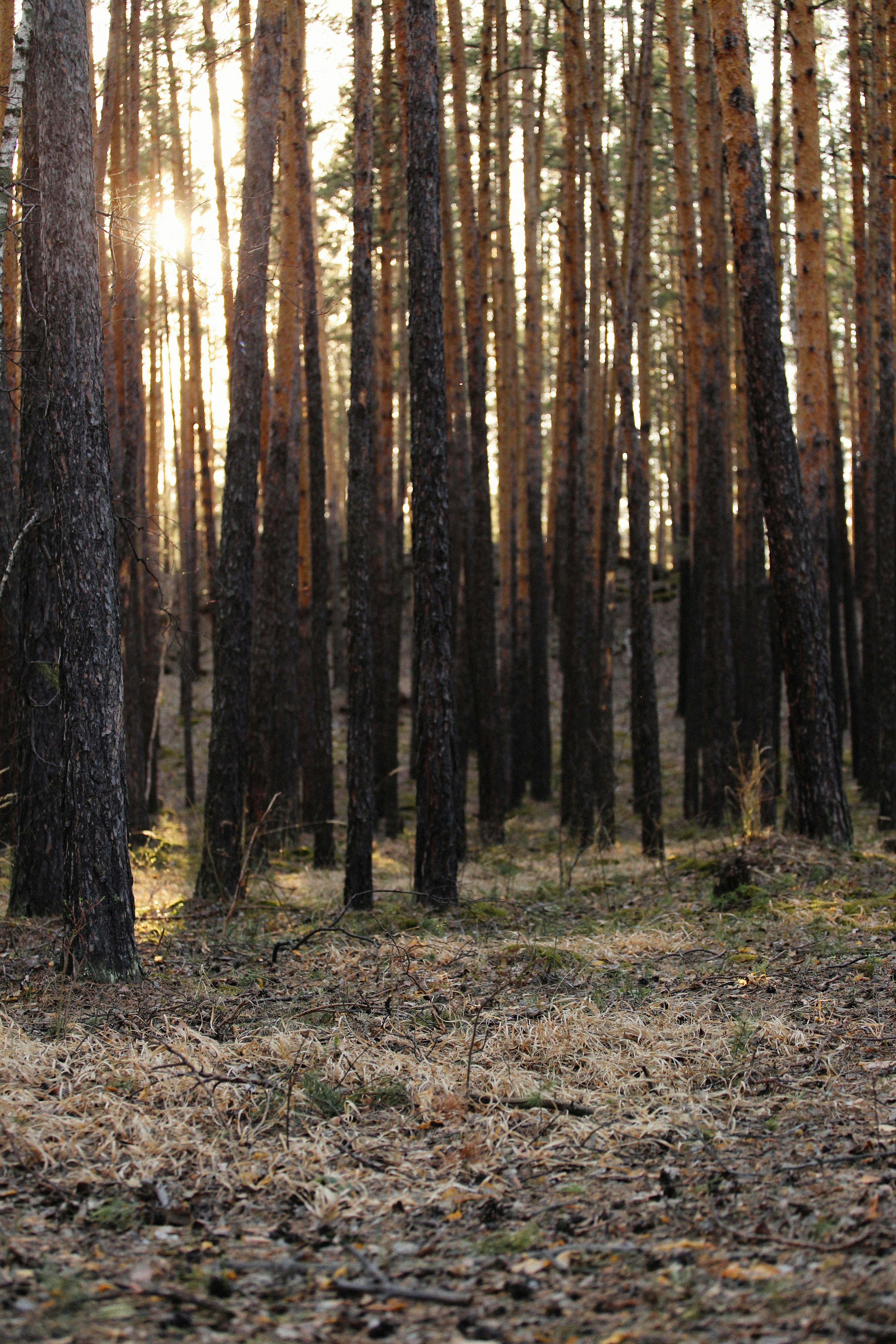 Photo by alexeydemidov