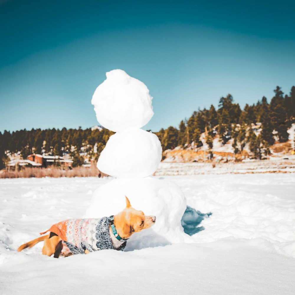 Ein Hund spielt mit einem Schneemann im Schnee