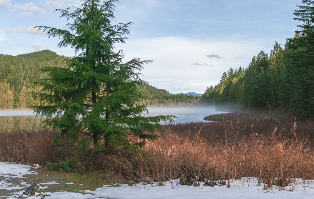 a lake surrounded by snow covered ground next to a forest