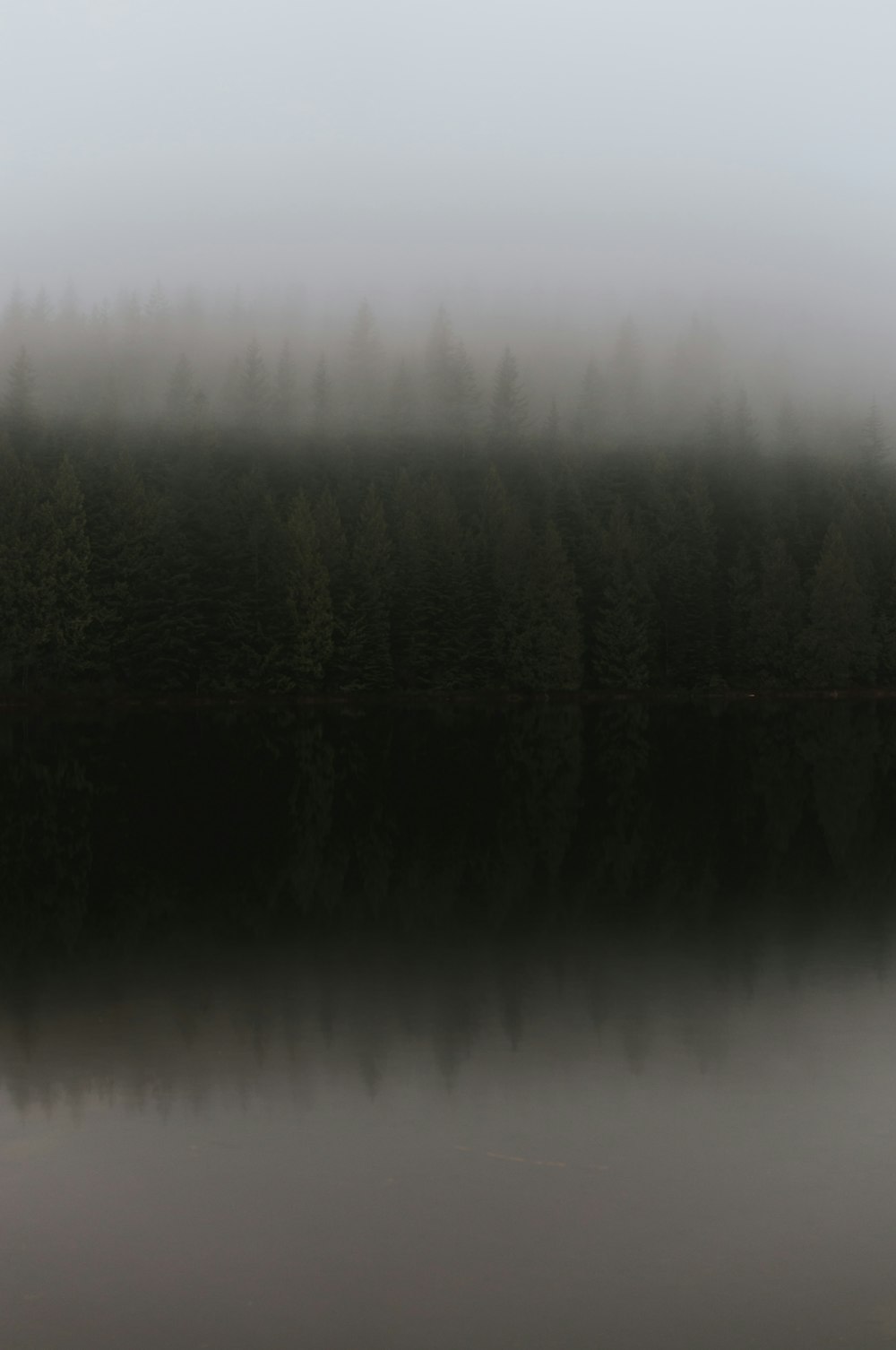 a foggy lake with trees in the background