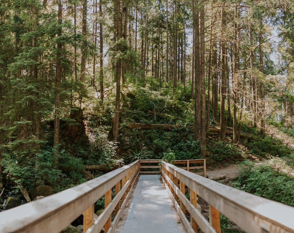 a wooden bridge in the middle of a forest