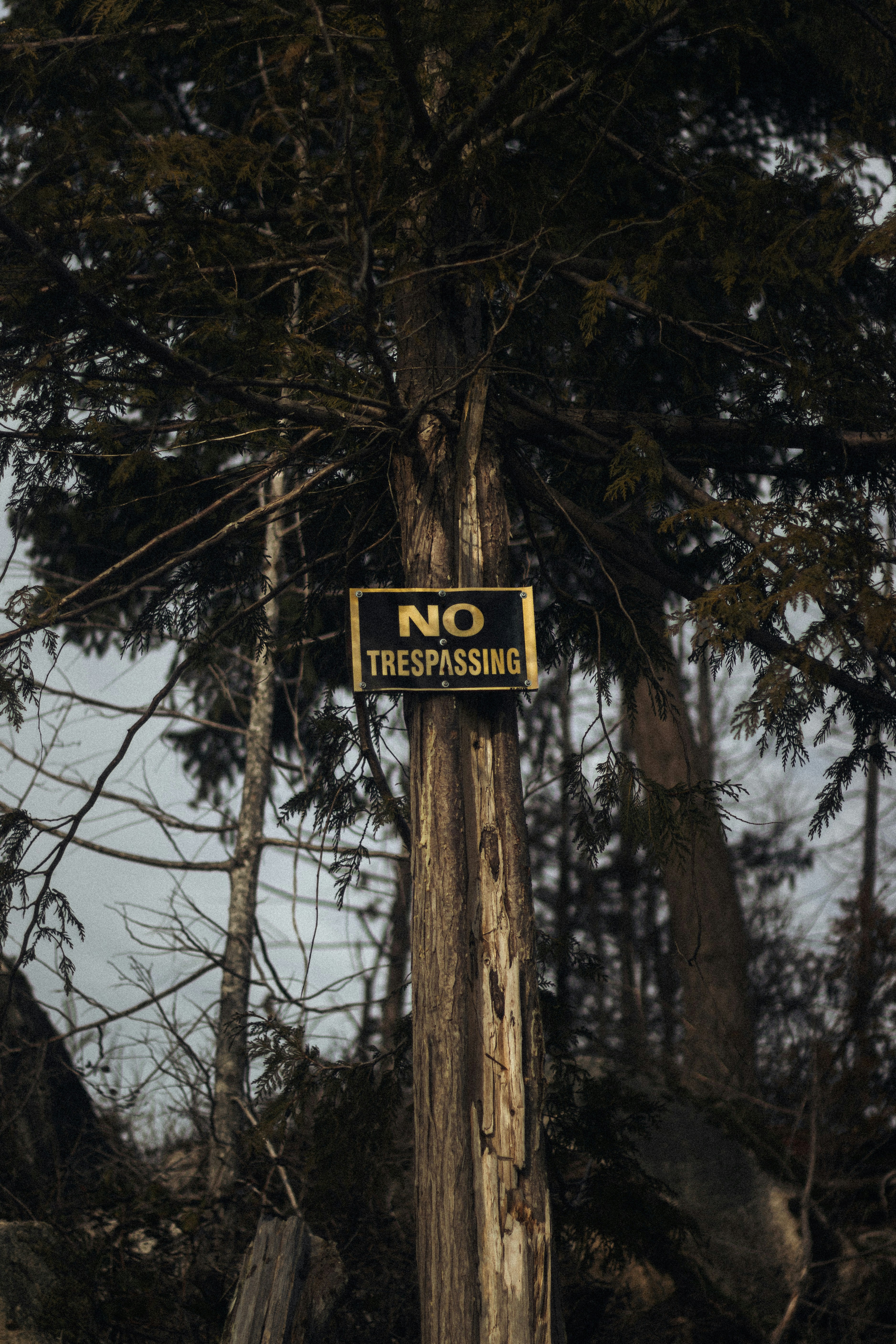 photo-1643945776919-af91432ed828?ixid=M3wxMjA3fDB8MXxzZWFyY2h8MjB8fHVmYWJldCUyMCVFMCVCOCU5NyVFMCVCOCVCMiVFMCVCOCU4NyVFMCVCOSU4MCVFMCVCOCU4MiVFMCVCOSU4OSVFMCVCOCVCMnxlbnwwfHx8fDE3NTE3ODMzNzd8MA\u0026ixlib=rb-4.1.0