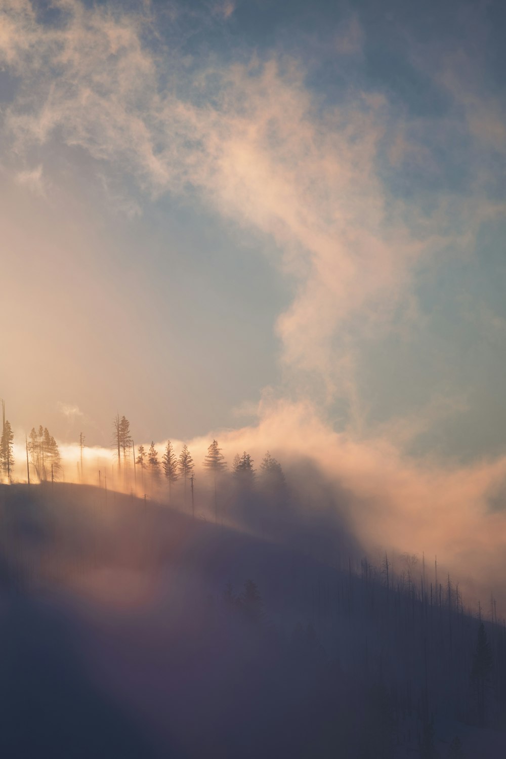 a foggy landscape with trees on a hill