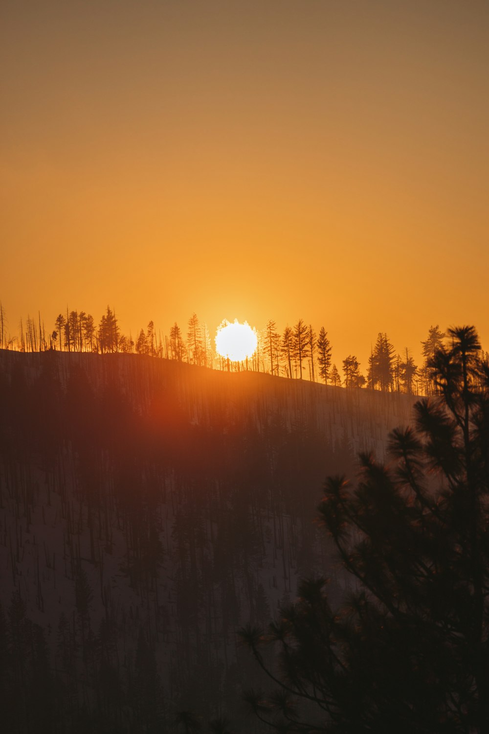 the sun is setting over a snowy hill