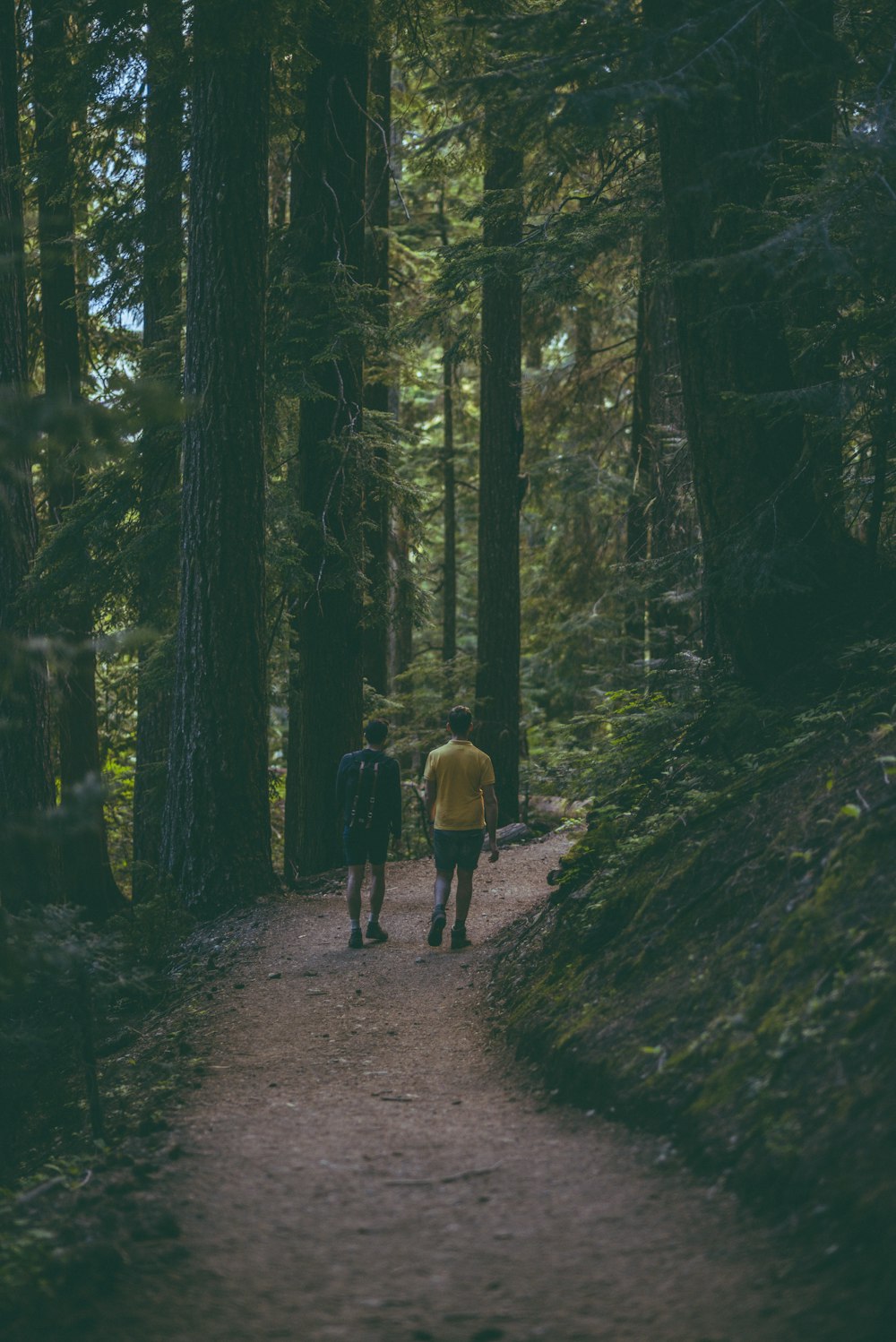 two people walking down a path in the woods