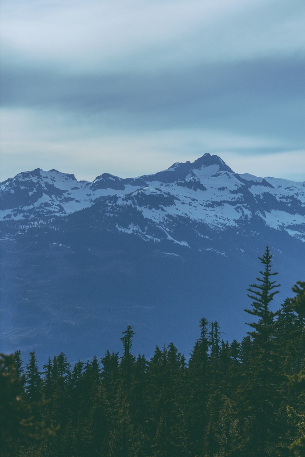 a view of a mountain range with trees in the foreground