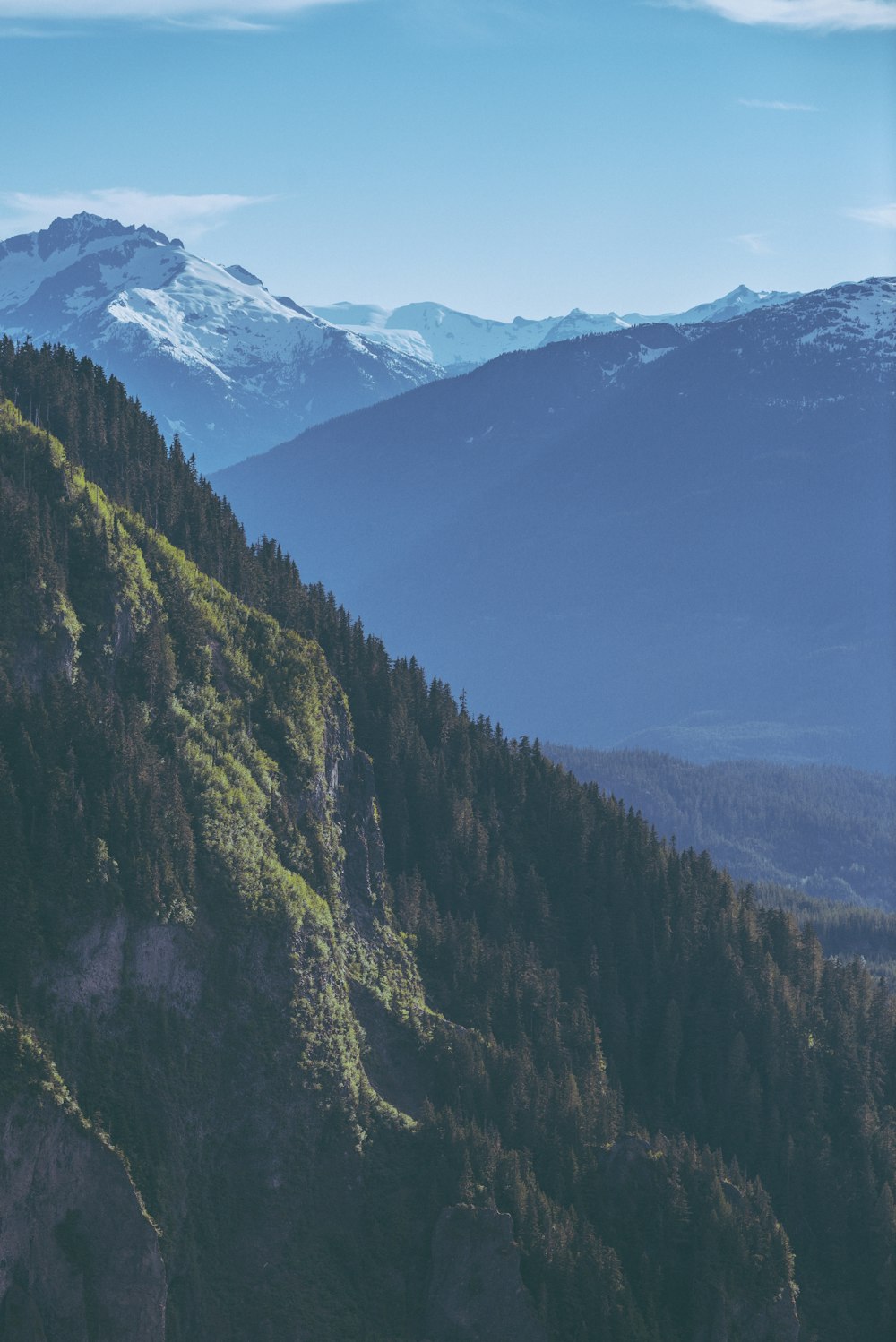 uma vista de uma cordilheira com árvores e montanhas ao fundo