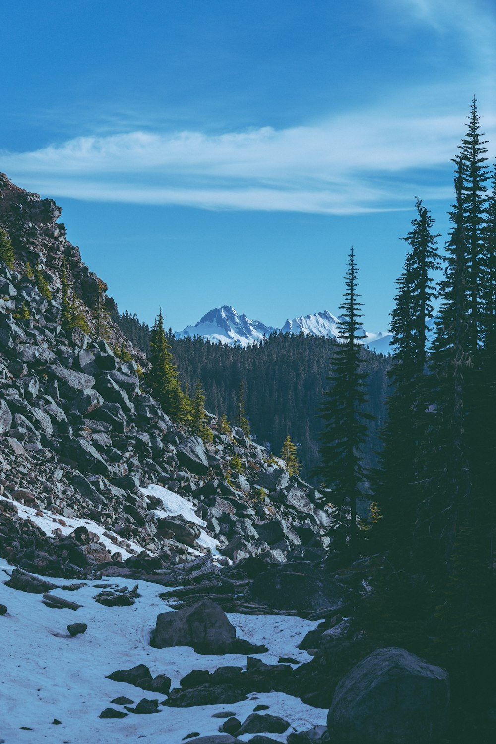 a rocky mountain with trees and snow on the ground