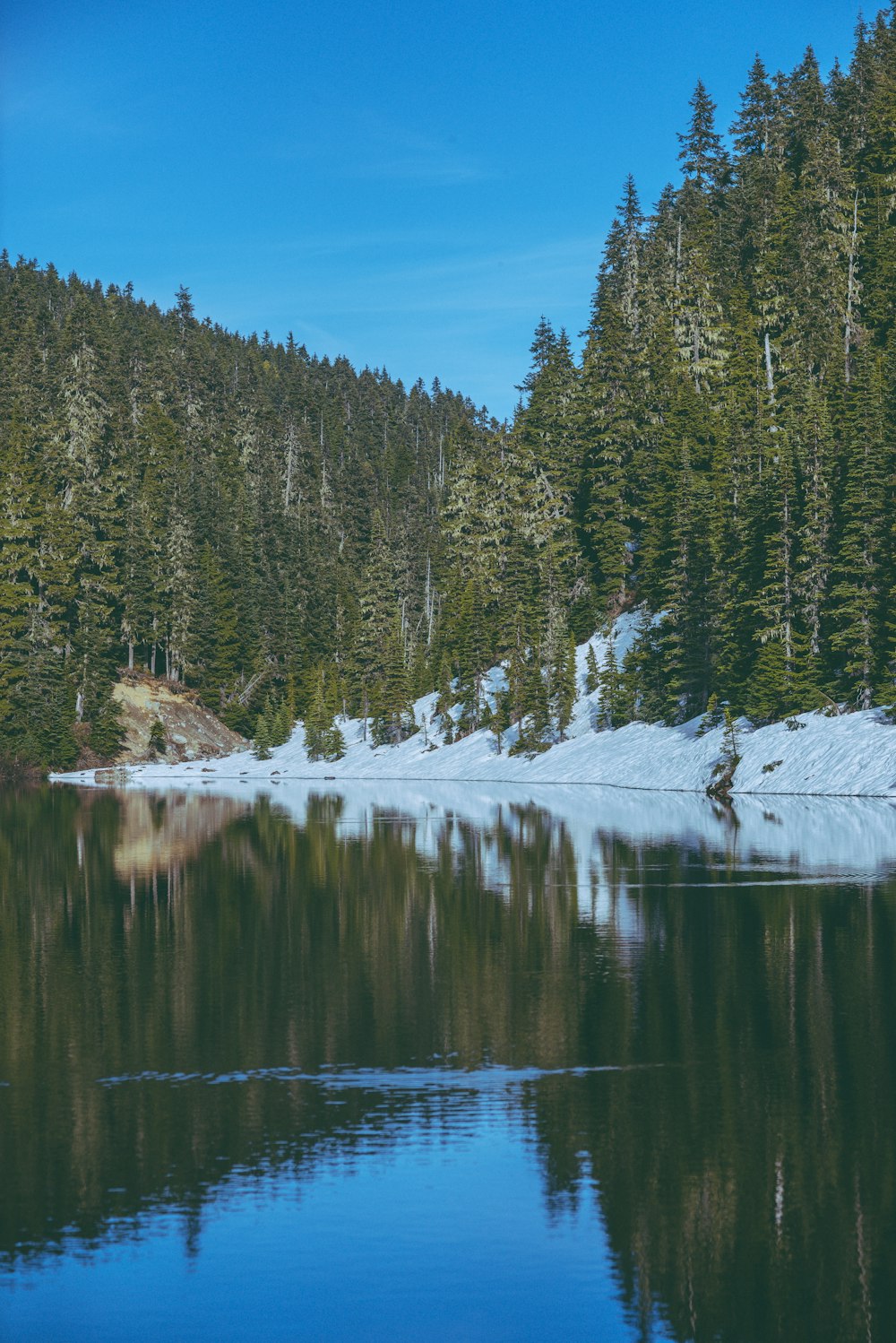 a large body of water surrounded by trees