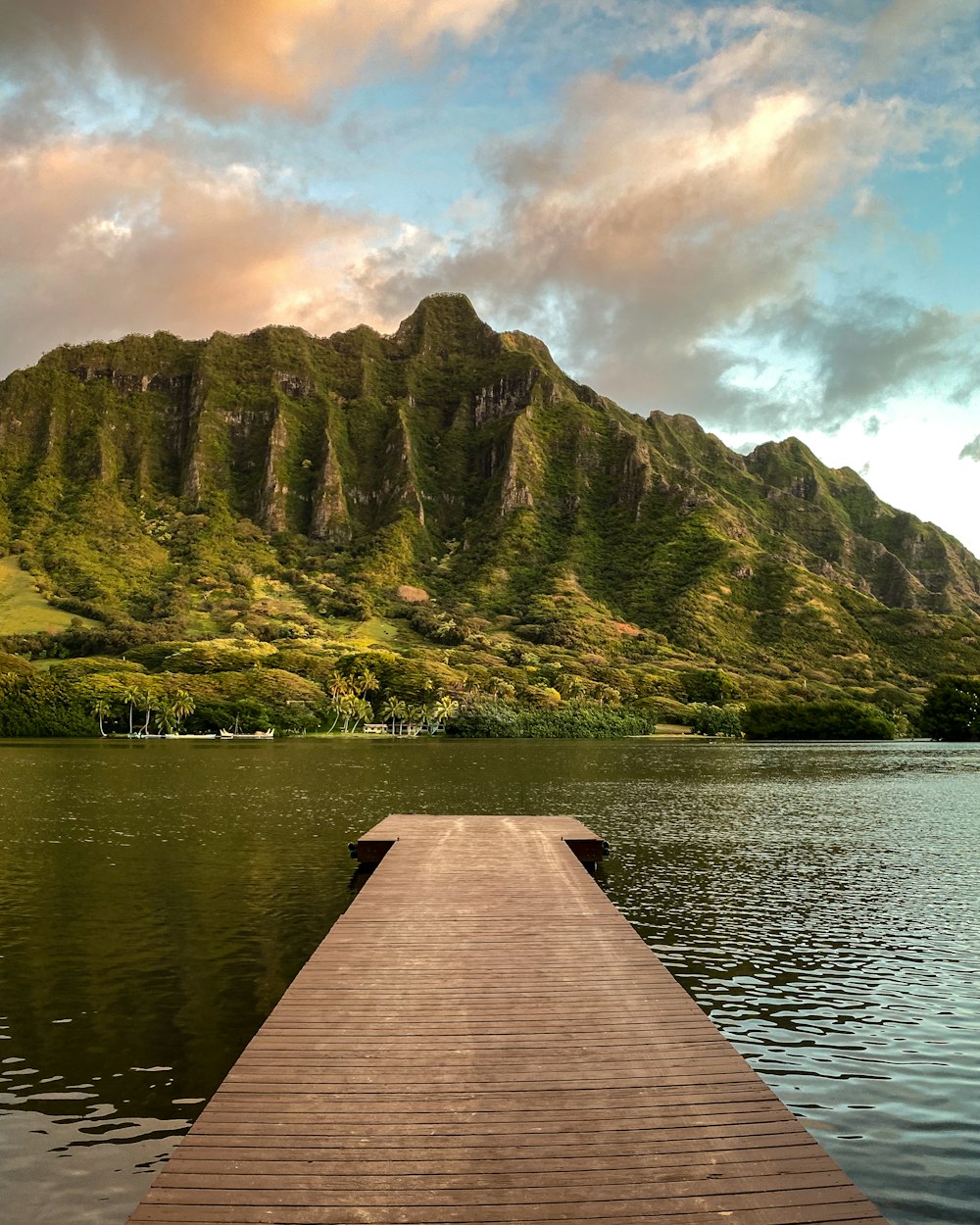 a wooden dock sitting in the middle of a lake