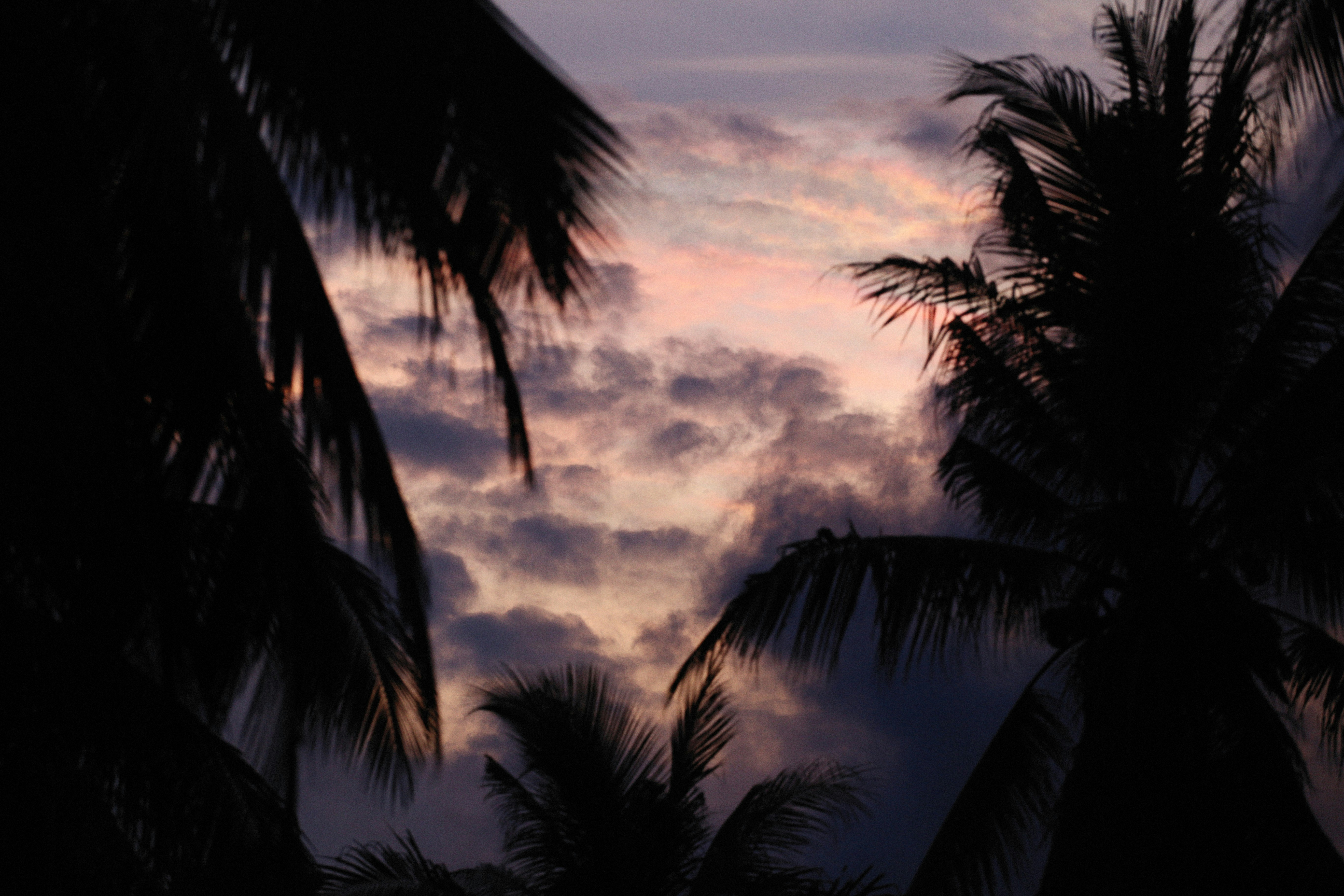 Photo by alexeydemidov