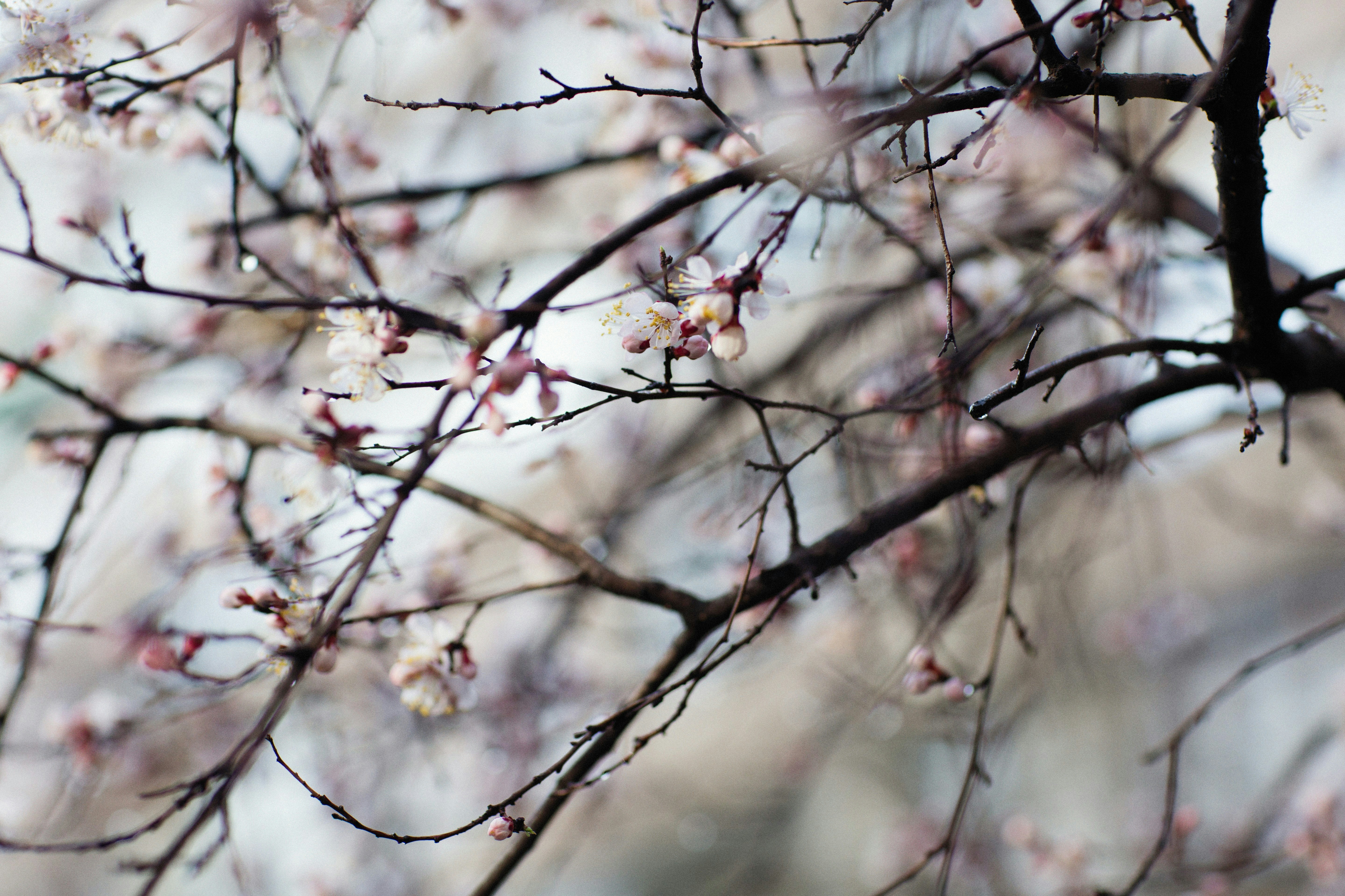 Photo by alexeydemidov