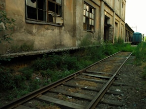 Overgrown railway tracks leading into an old, forgotten industrial site