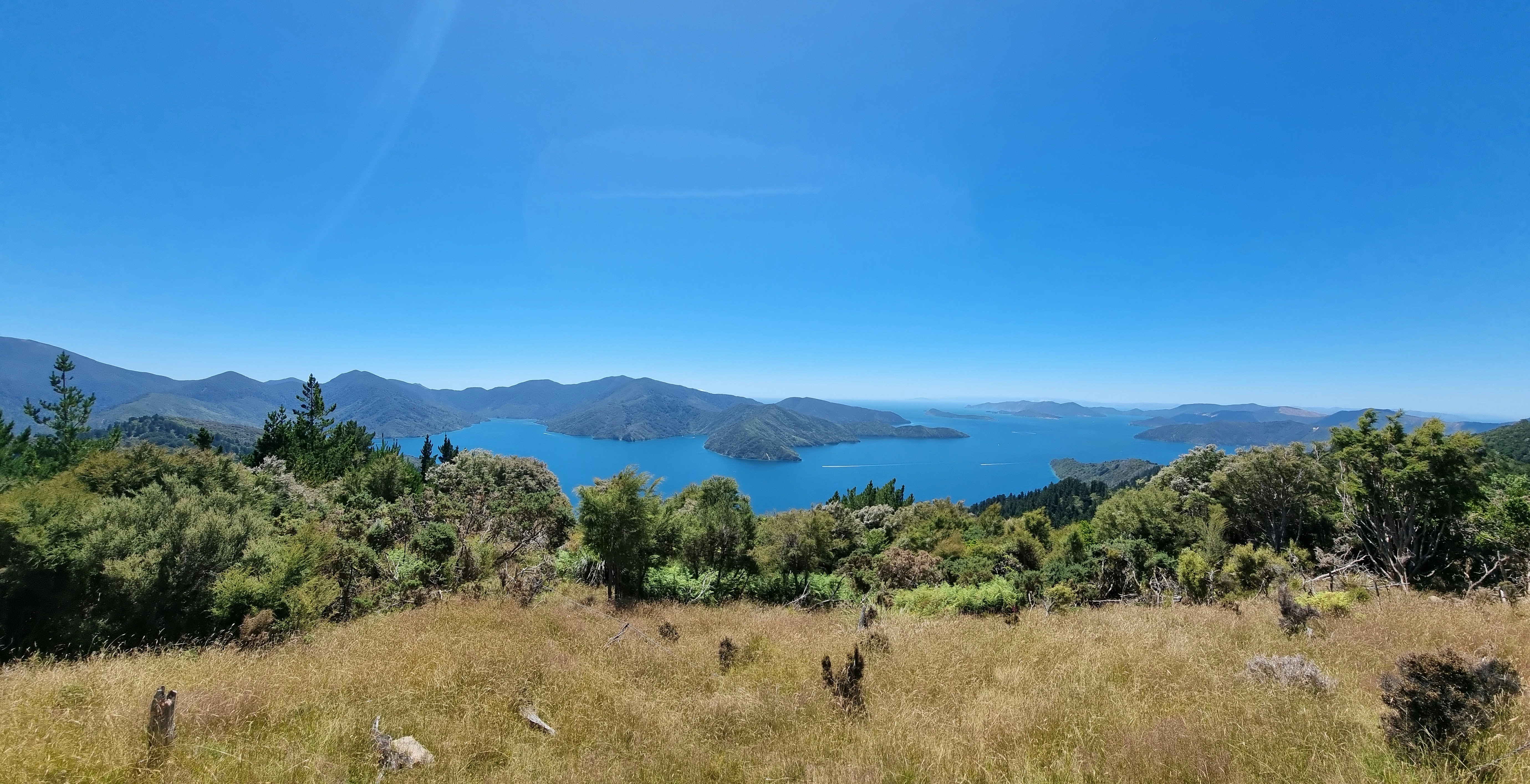 Photo by jonathan_nz