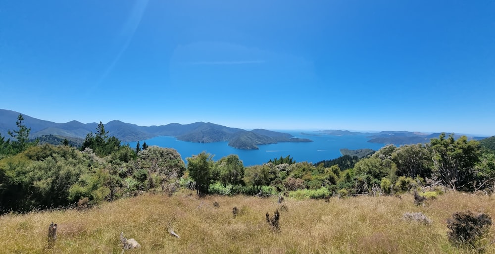 a grassy field with a lake in the distance