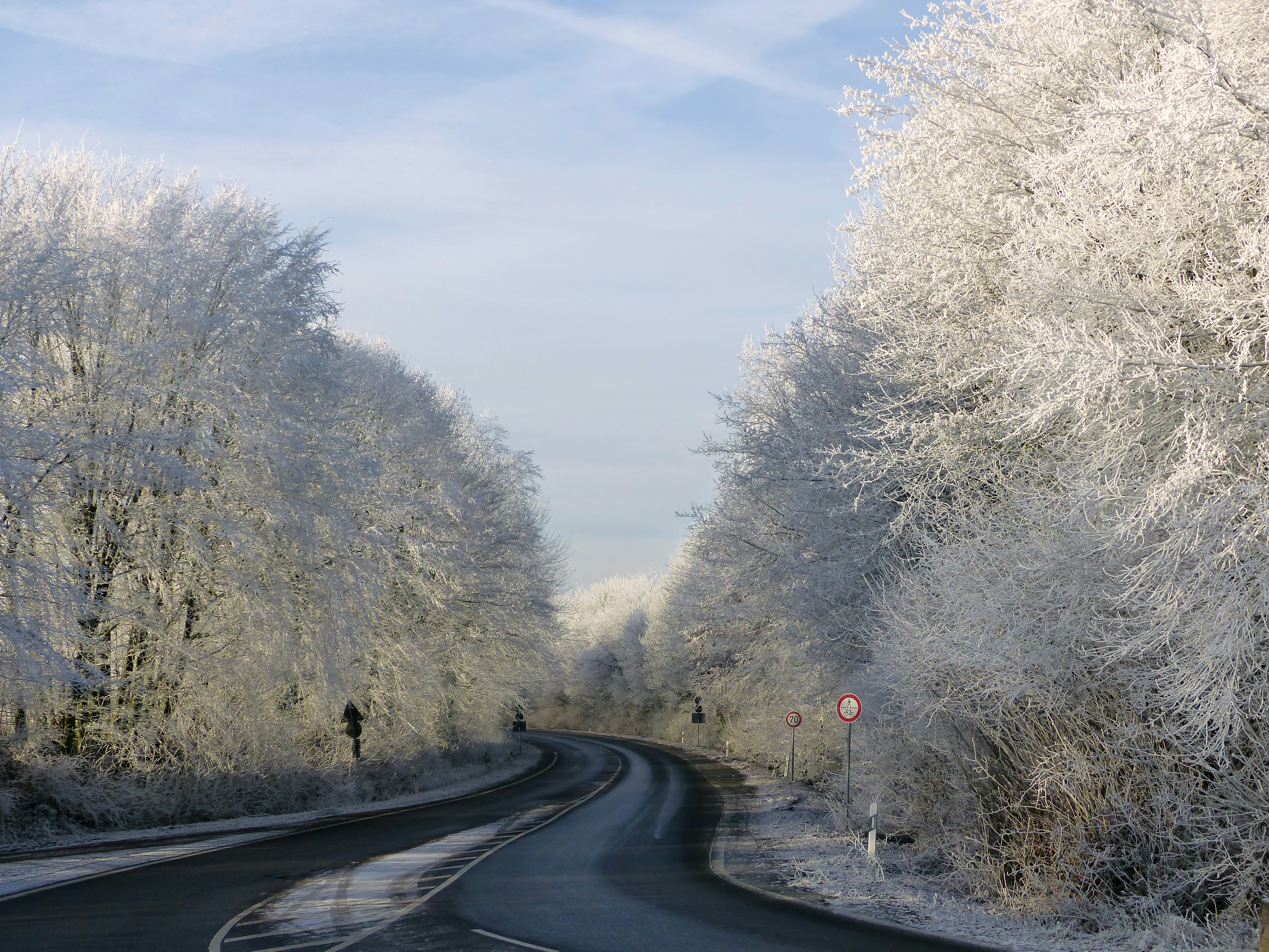 a road surrounded by trees covered in snow