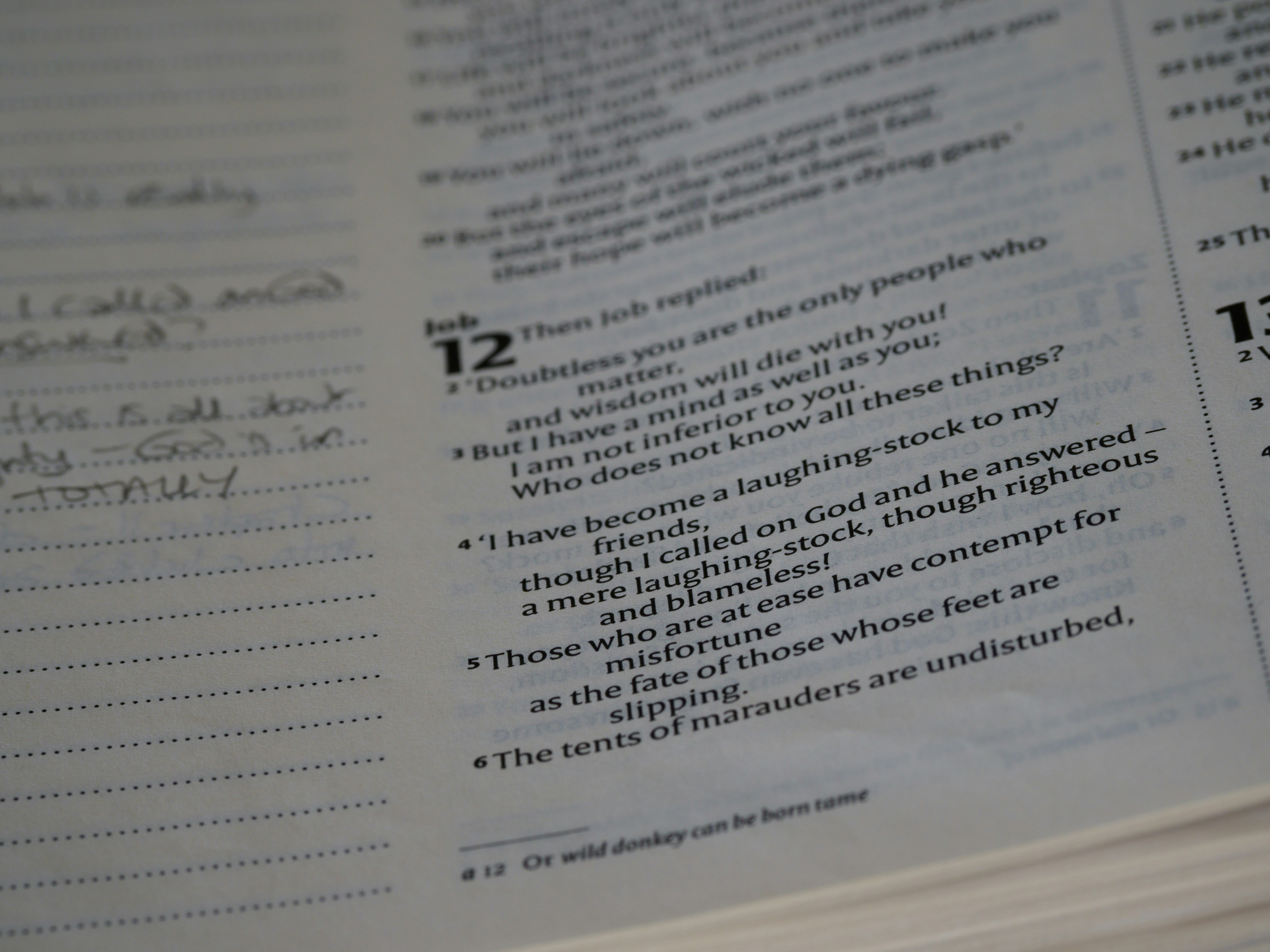 close up, bokeh, macro, blur, blurred background, close focus, bible, old testament, hebrew bible, christian, judaism, history, text, reading, bible study, devotions, text, NIV, New International Version, type, typography, canon, christianity, holy scripture, holy bible, scripture, old testament, hebrew bible, esther, tanakh, ketuvim, book of job, job, אִיּוֹב, theodicy, satan, the accuser, הַשָּׂטָן, <br />