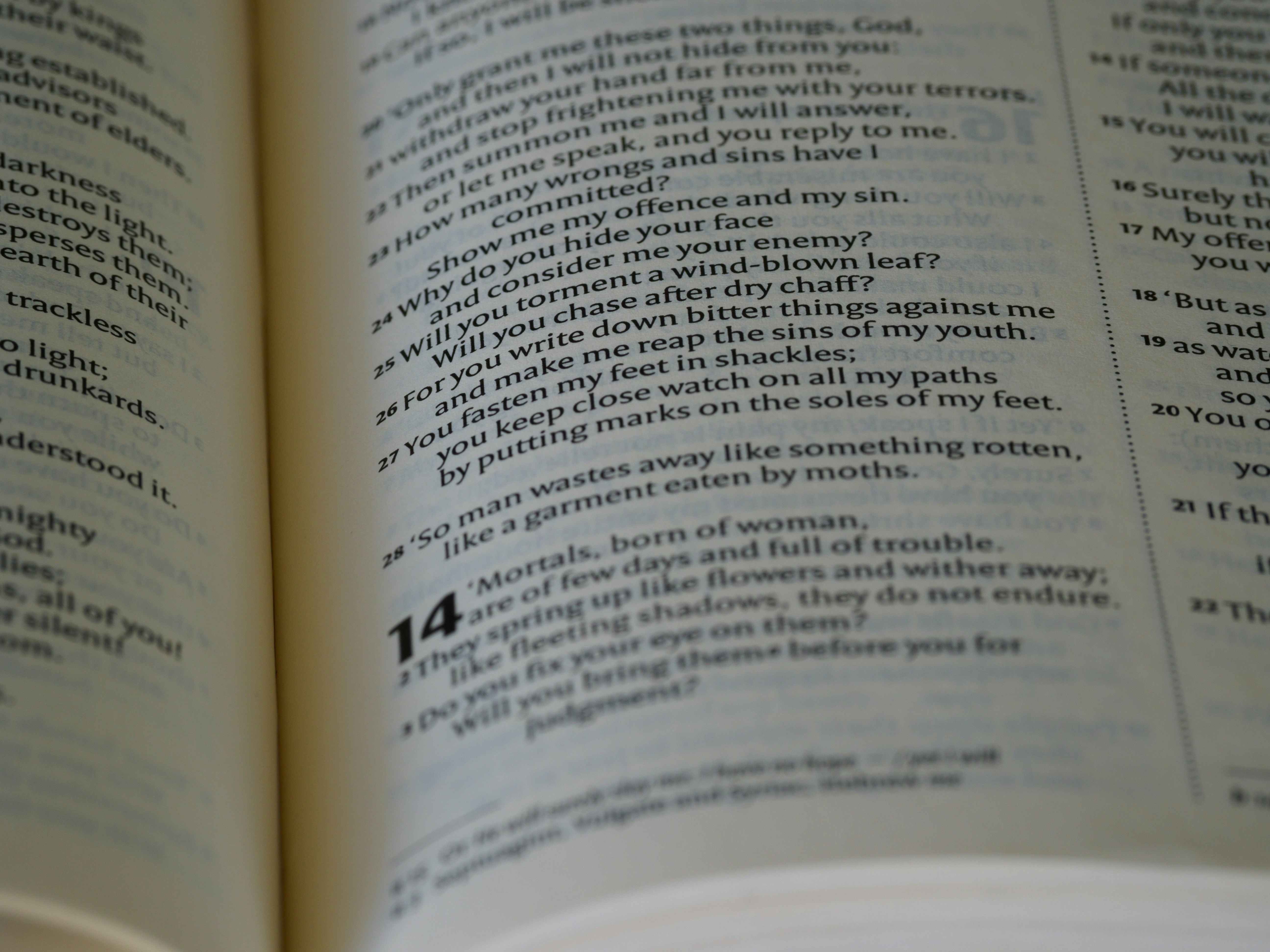 Photo by brett_jordan