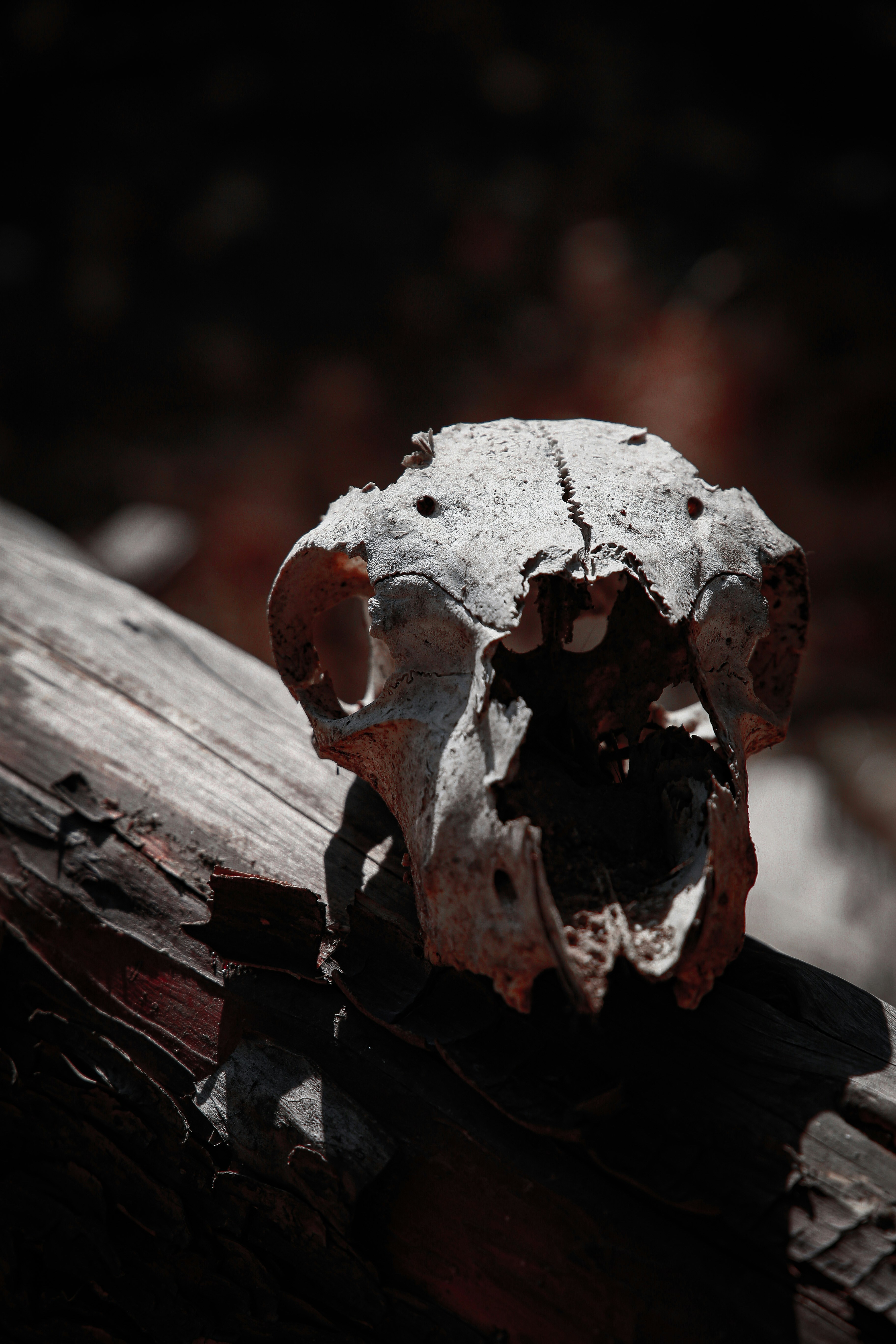 Photo by eimansaffari