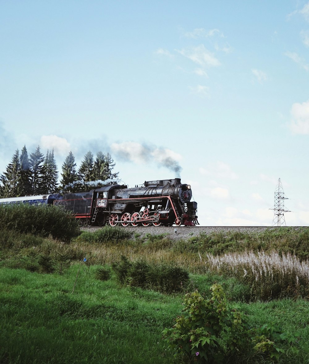 a train traveling down train tracks next to a lush green field