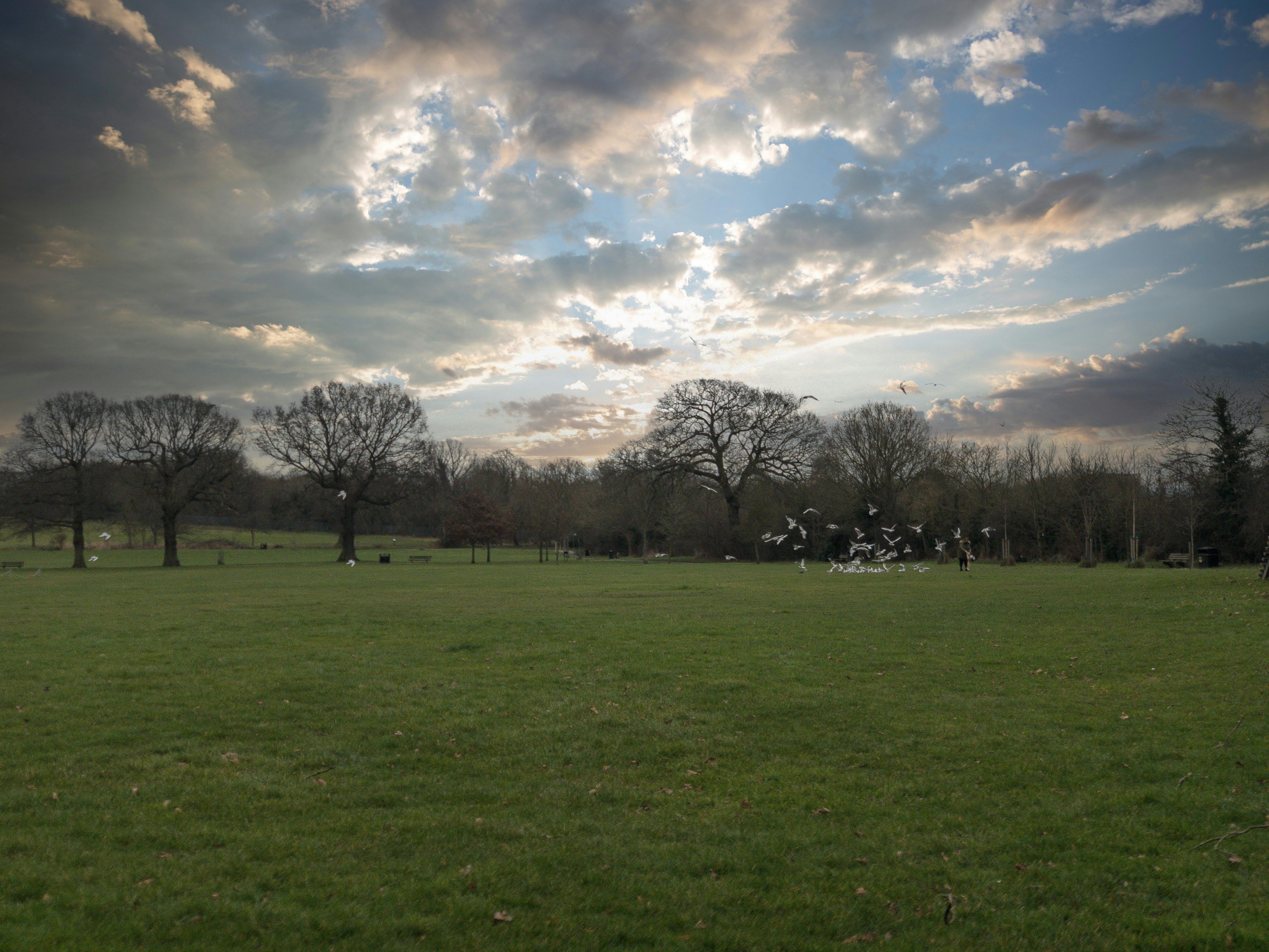 Photo by brett_jordan