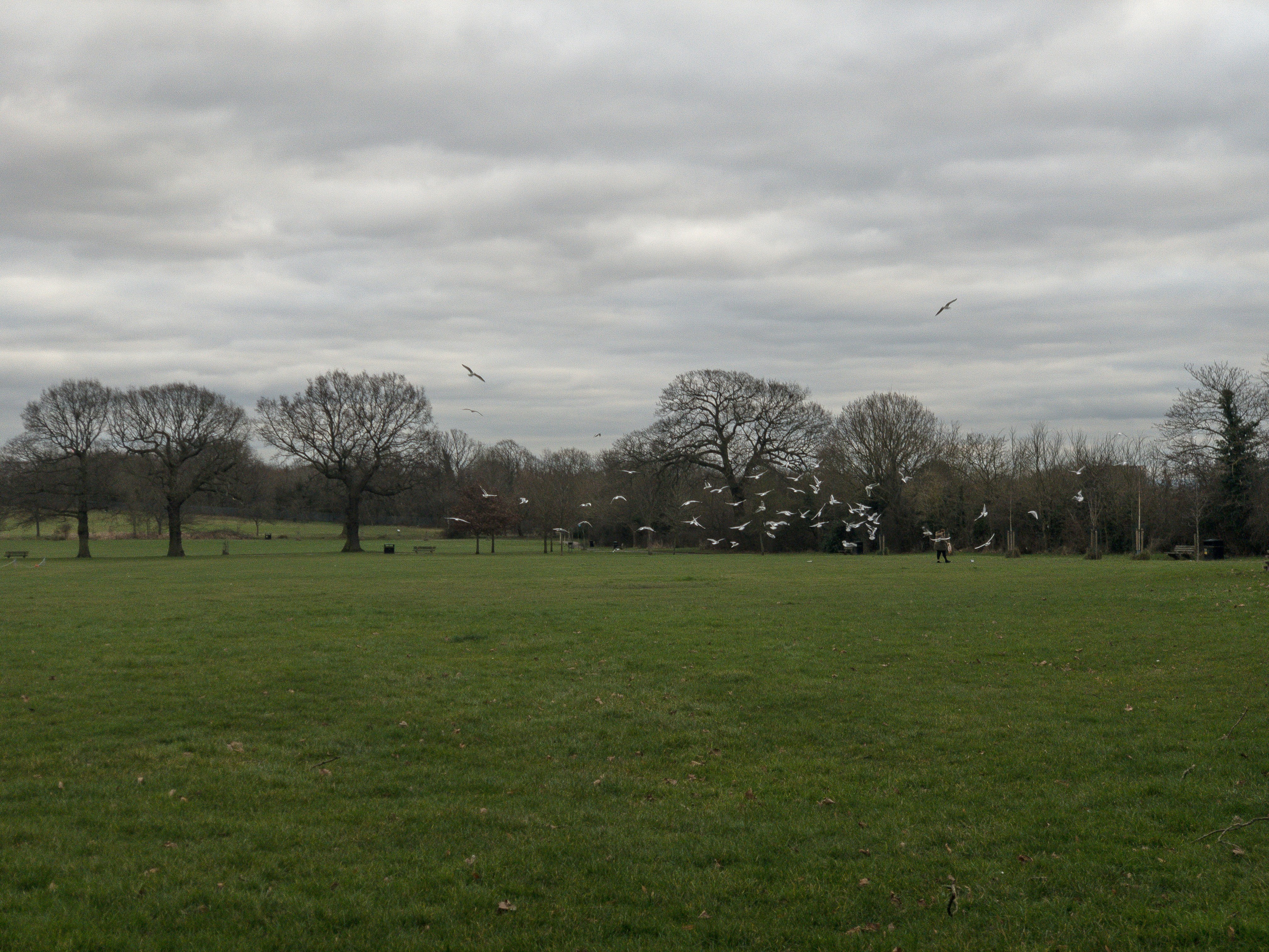 Tucker Park