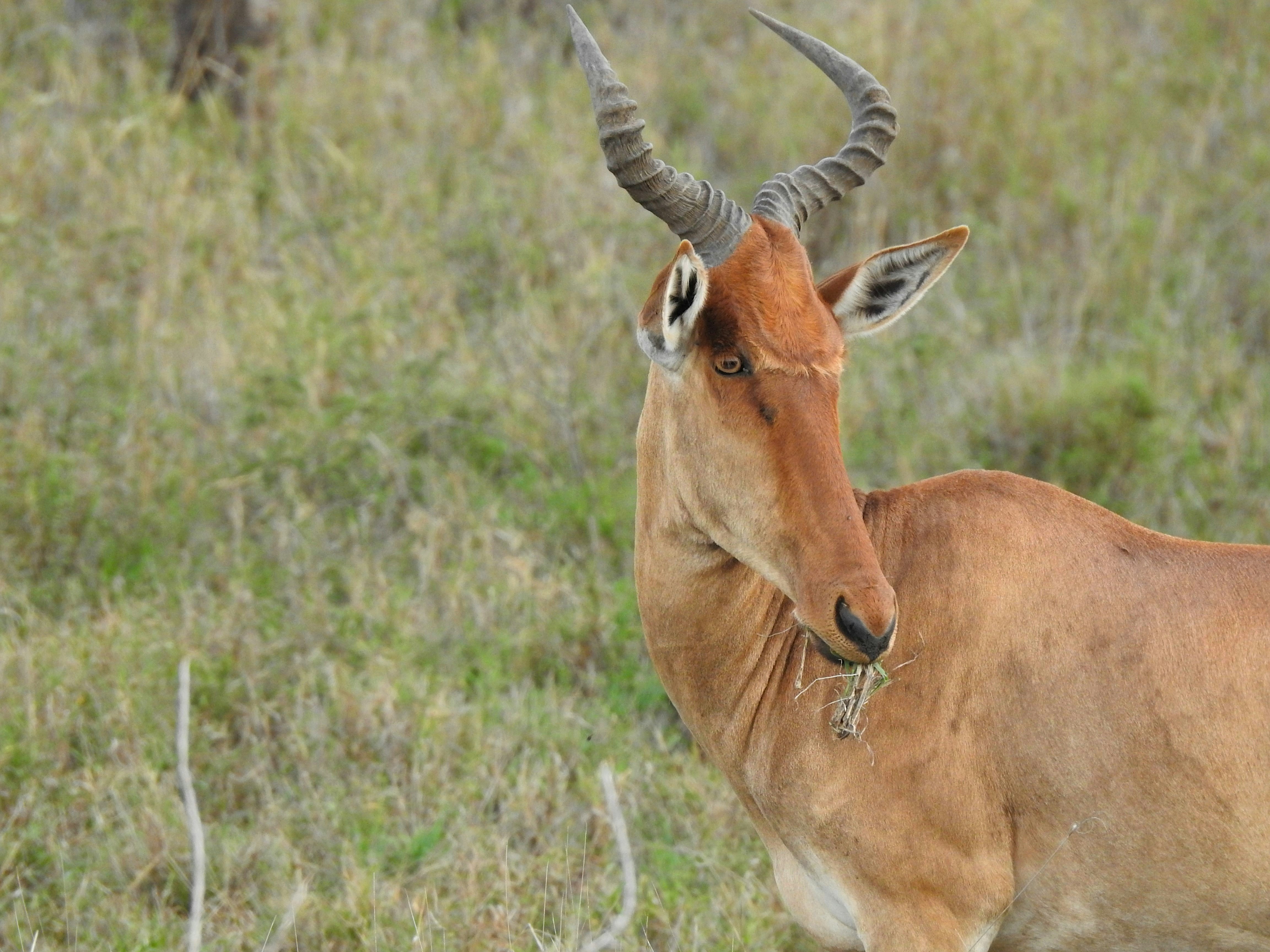 Photo by artemisdesign