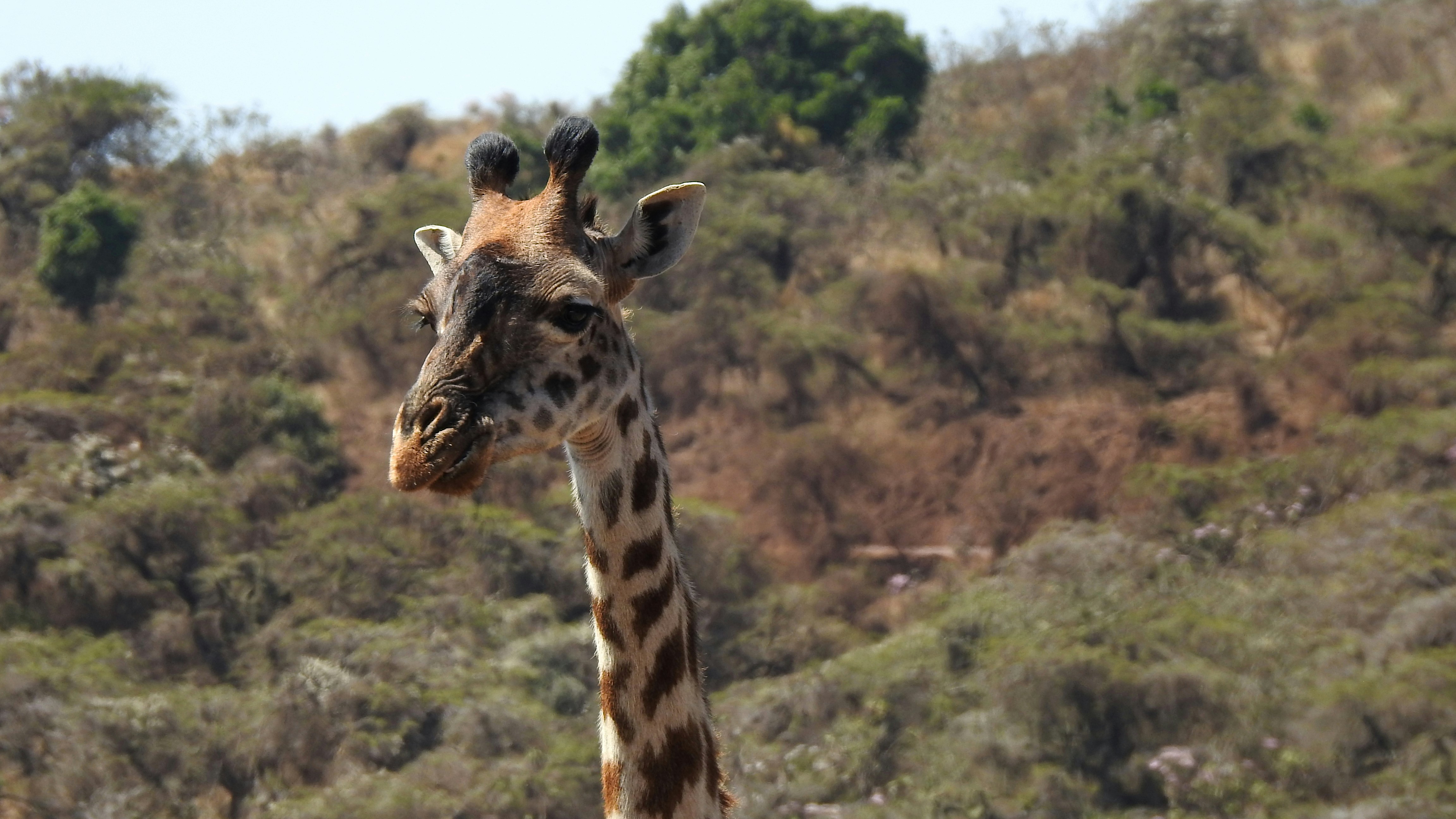 Photo by artemisdesign