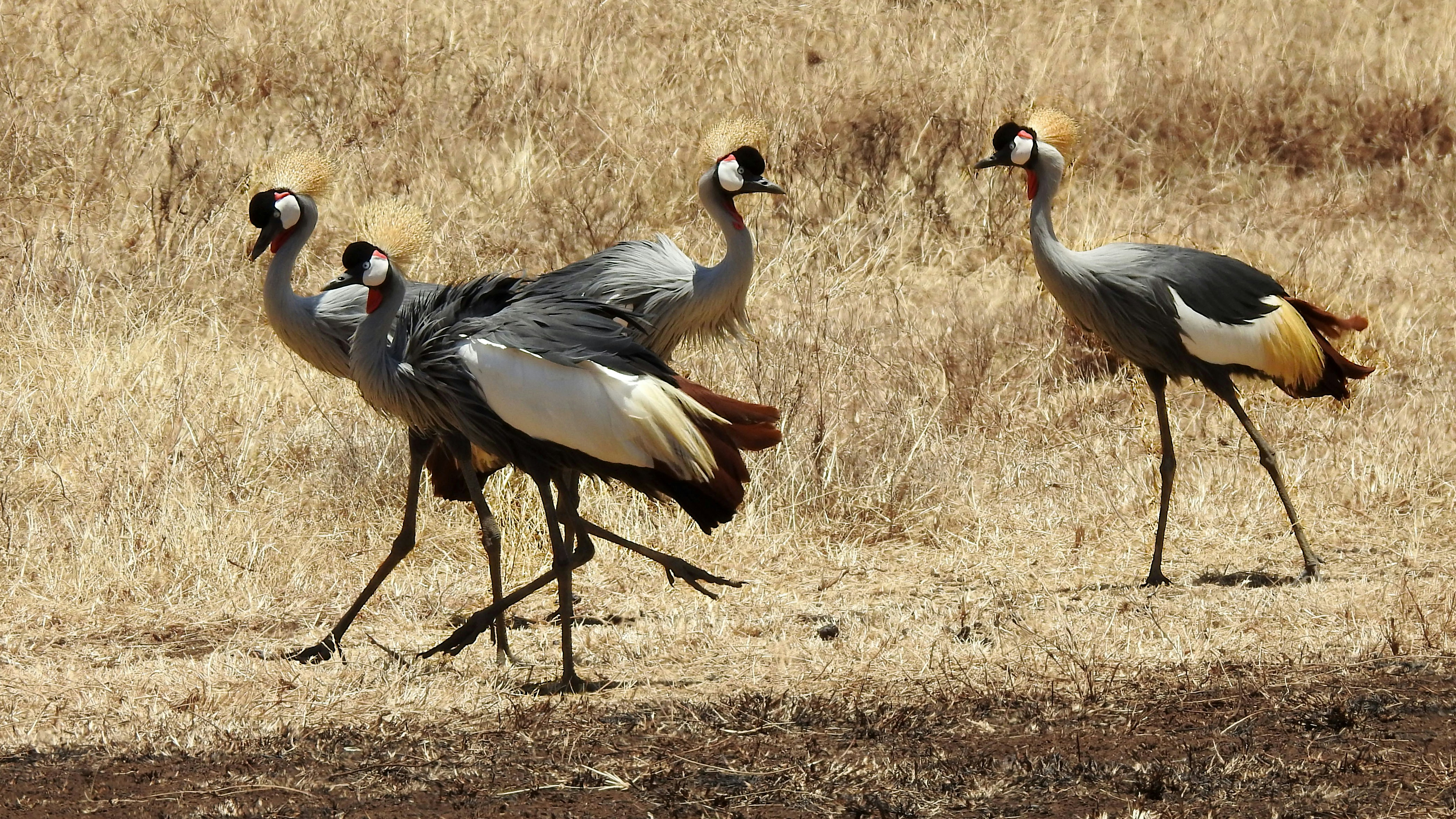 Photo by artemisdesign