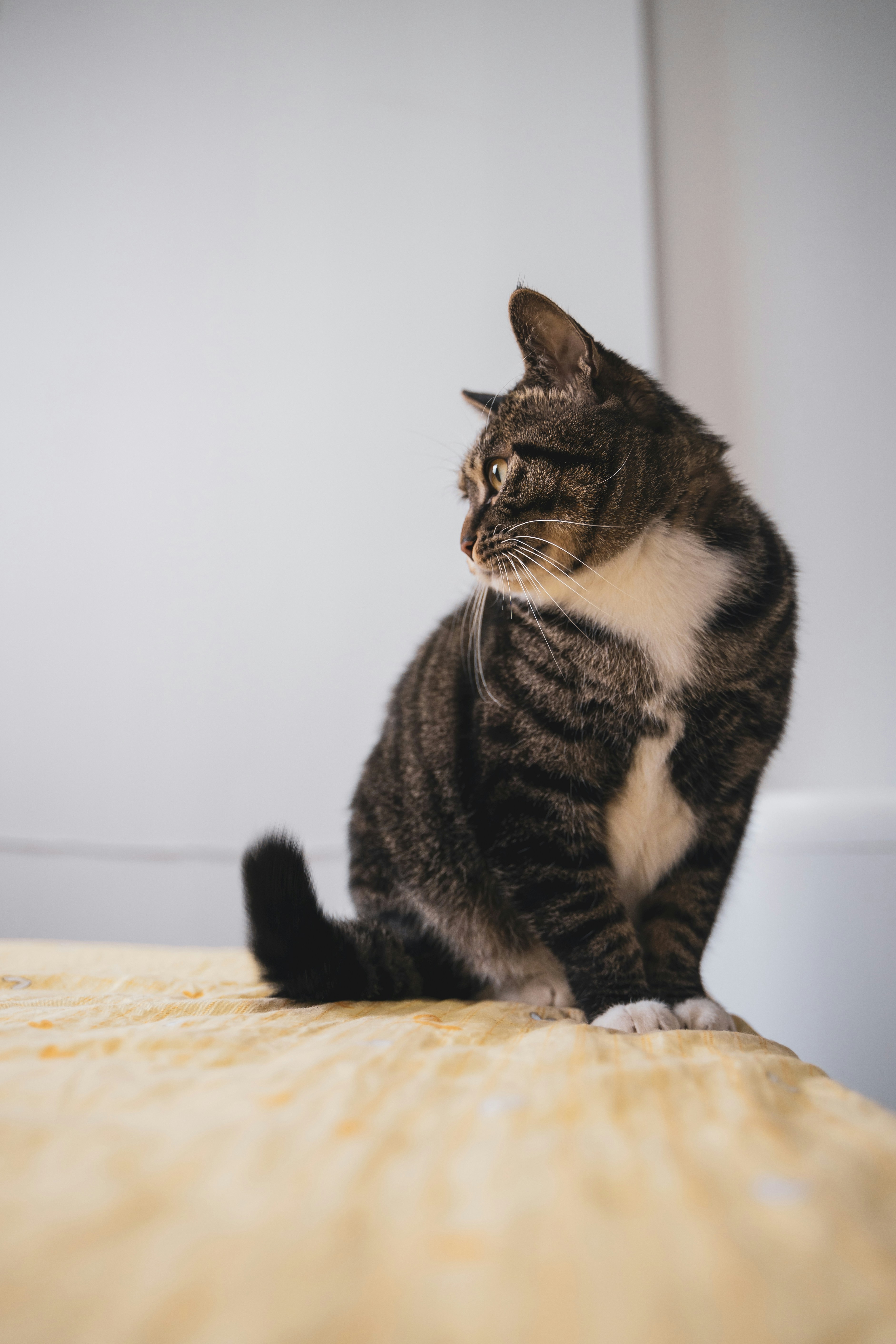 Photo by yooho962464